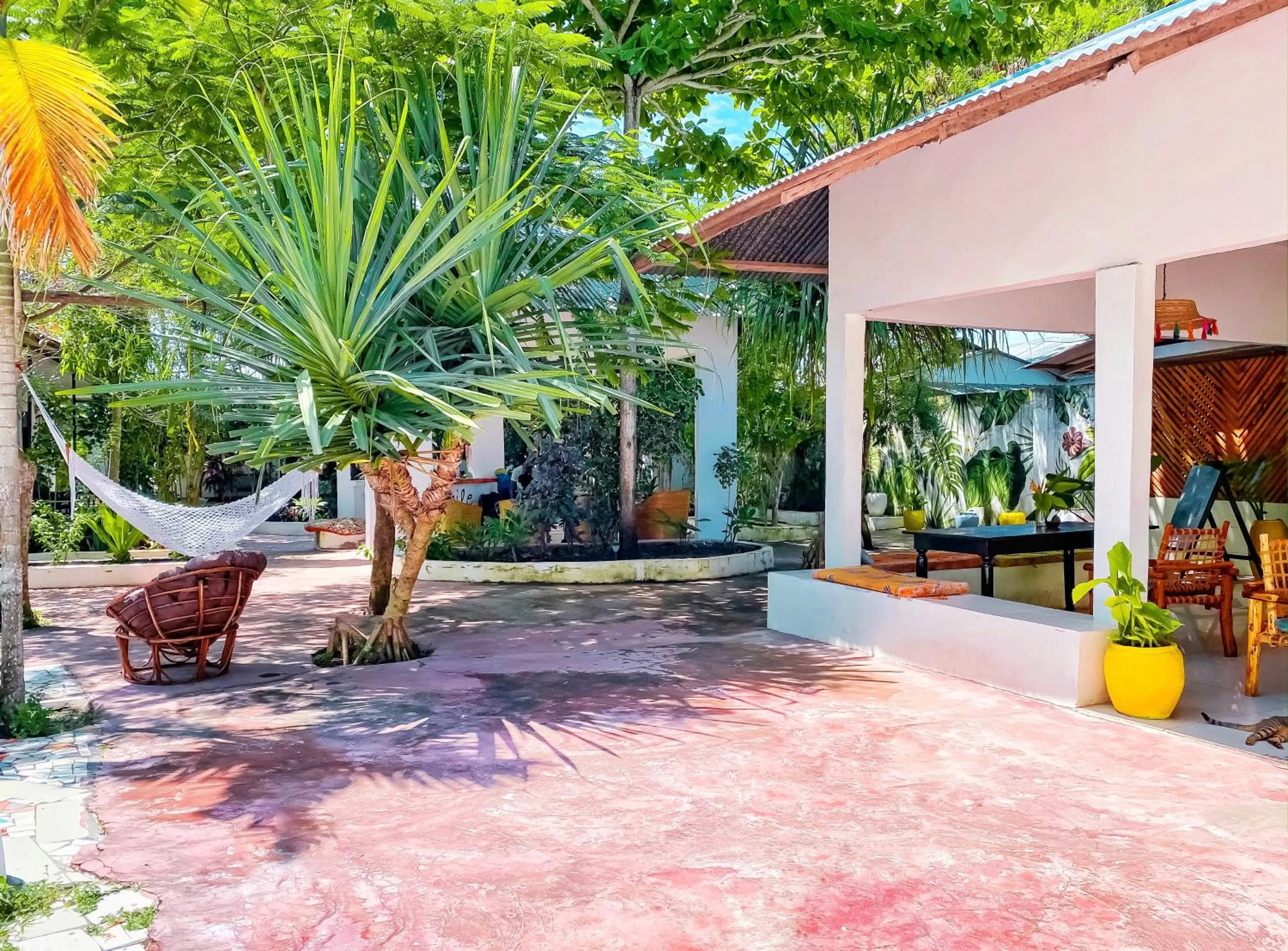 Restaurant/places to eat in Papaya Guest House Nungwi