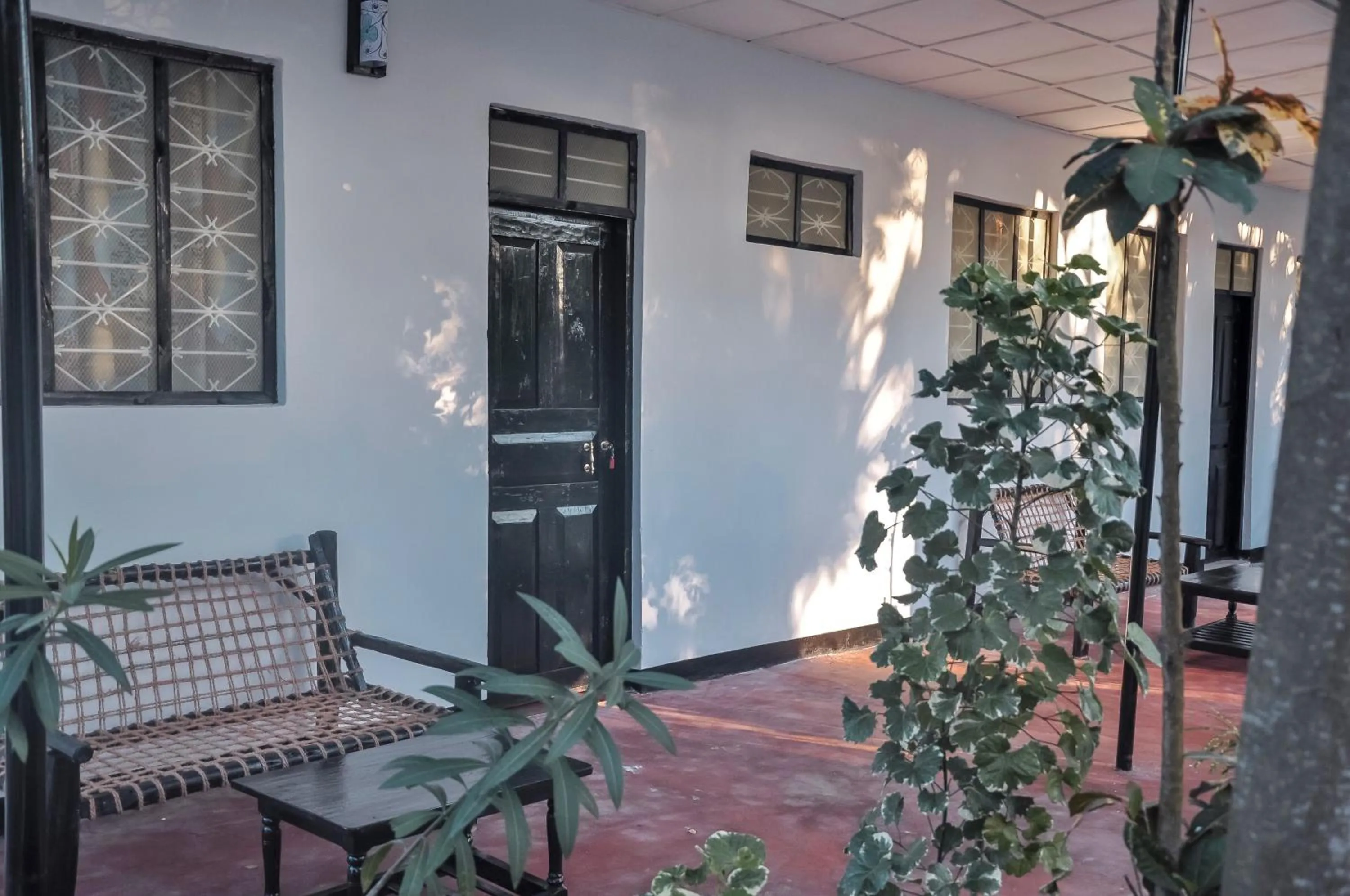 Patio in Papaya Guest House Nungwi