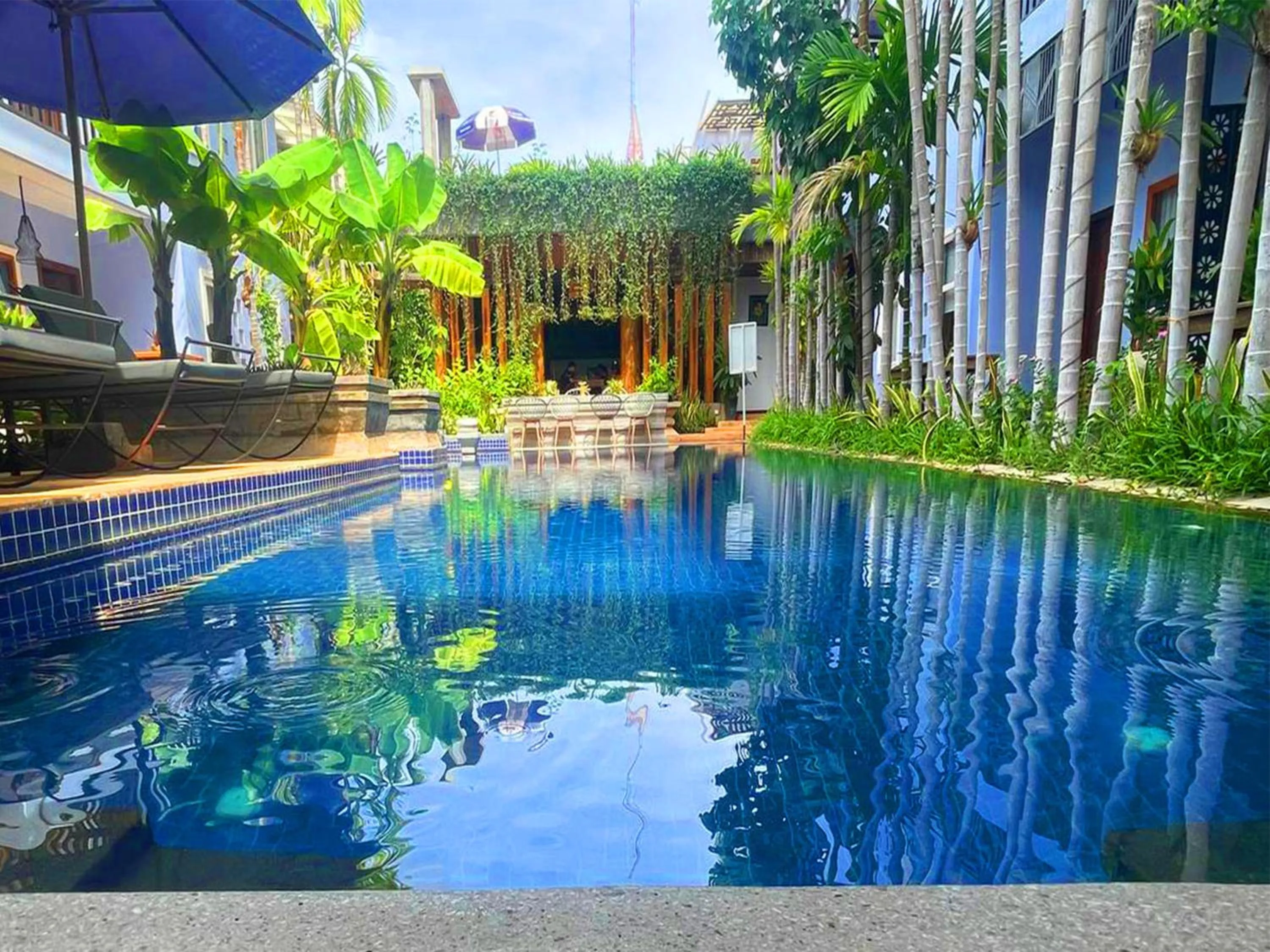 Garden in Cheata Residence