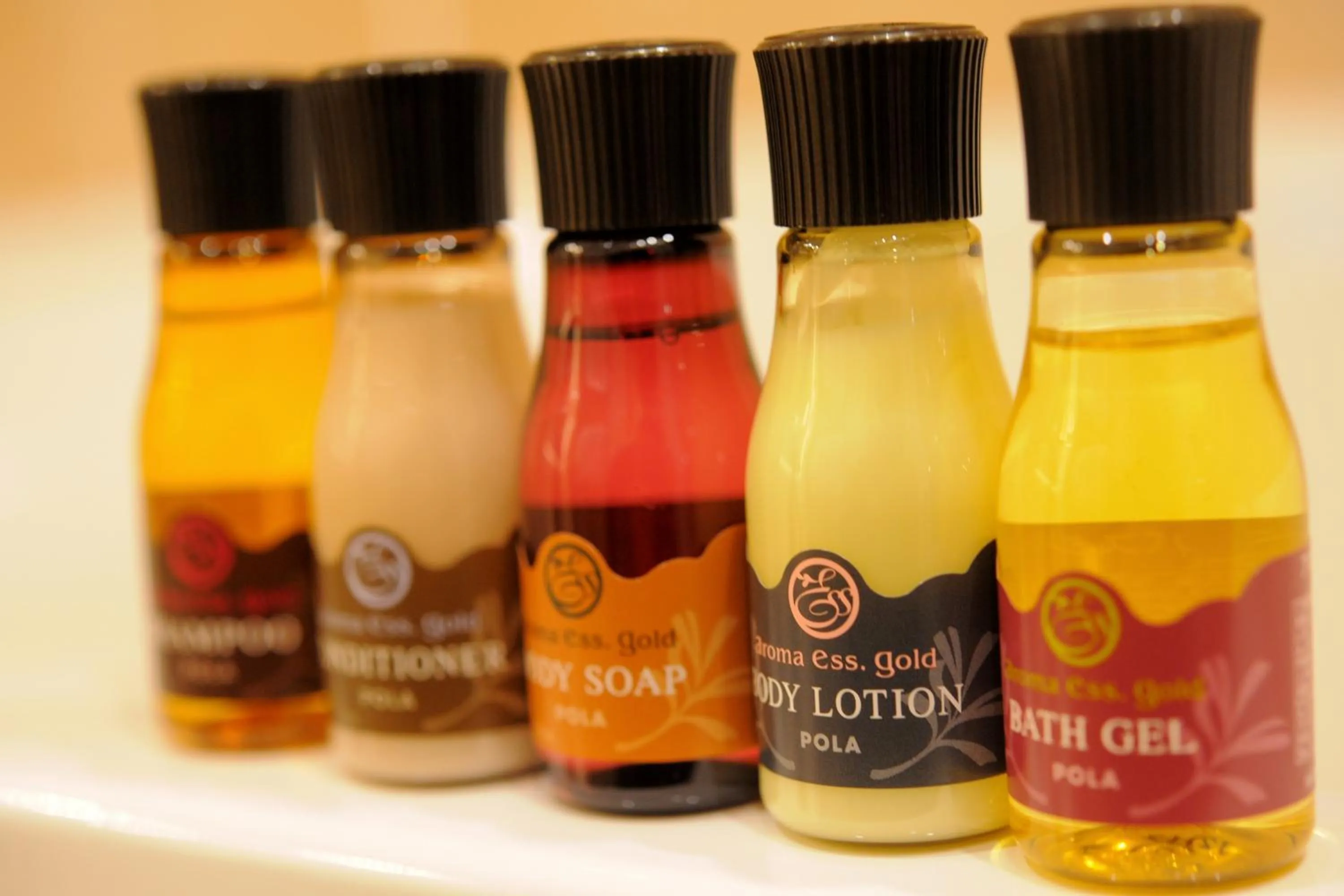 Area and facilities in T Hotel Ryuoo