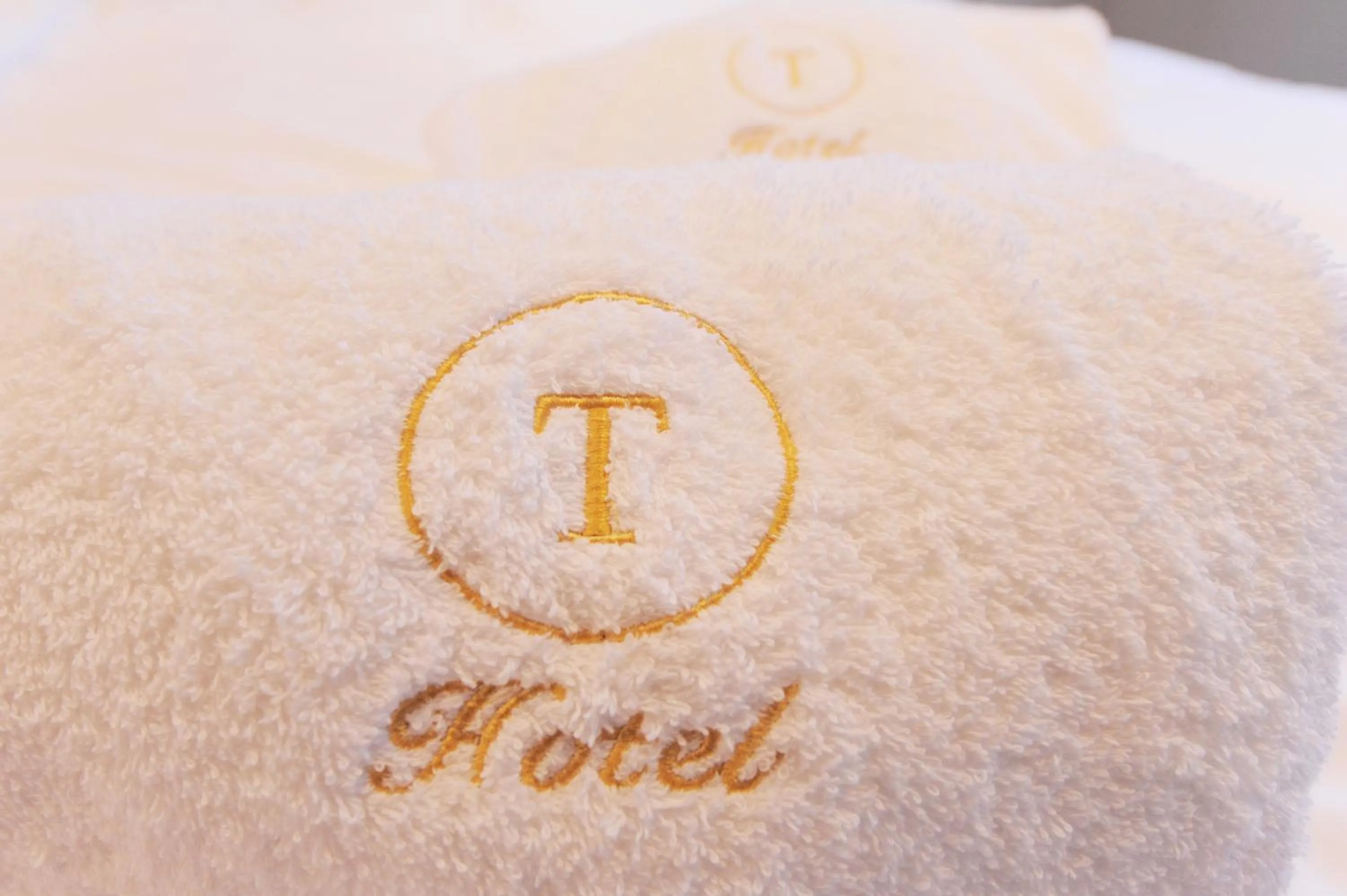 Decorative detail in T Hotel Ryuoo