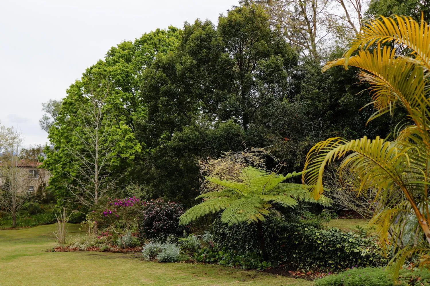 Garden in Arbour1 Guesthouse
