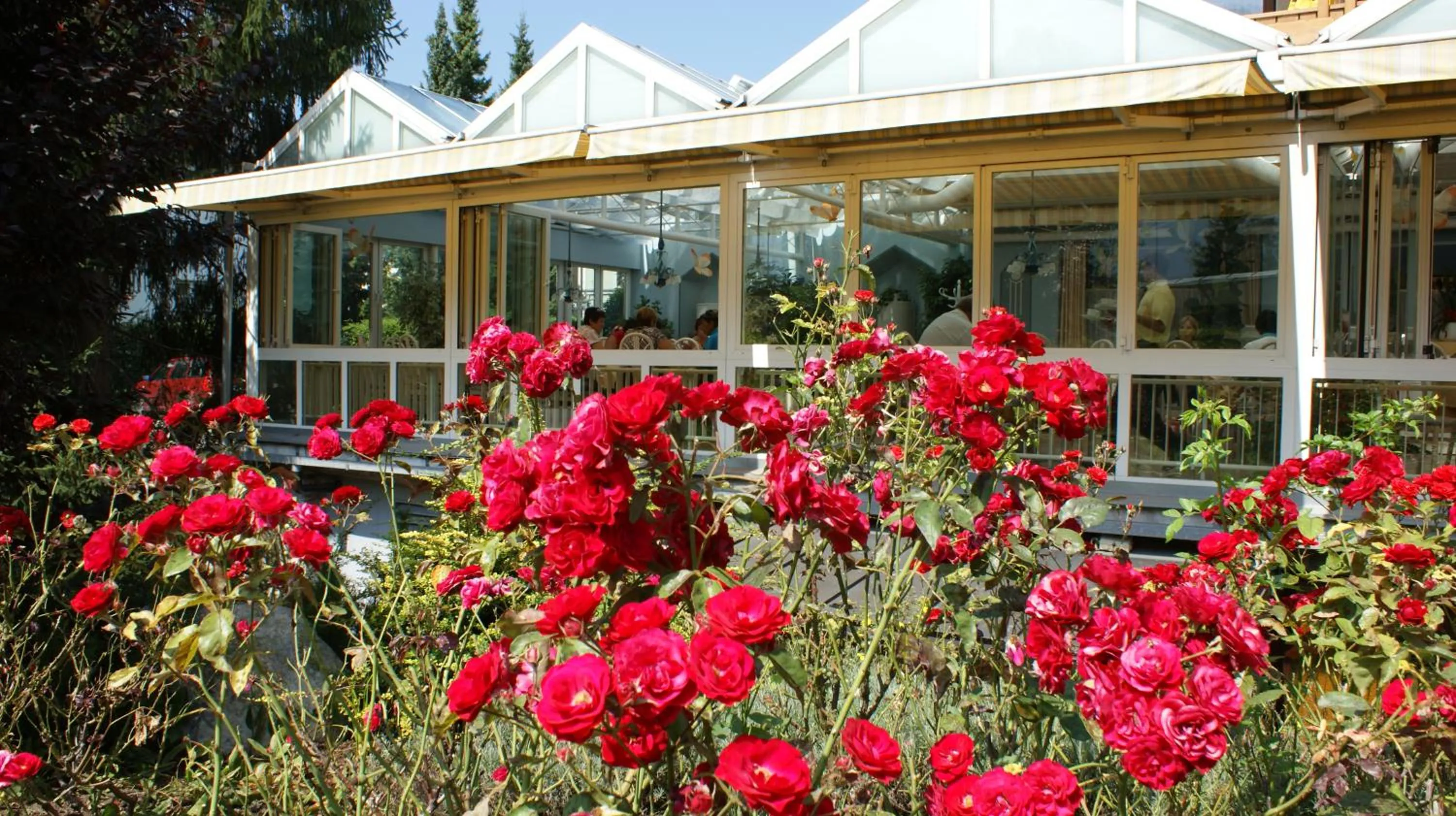 Property building in Dolomitenhotel Lienz