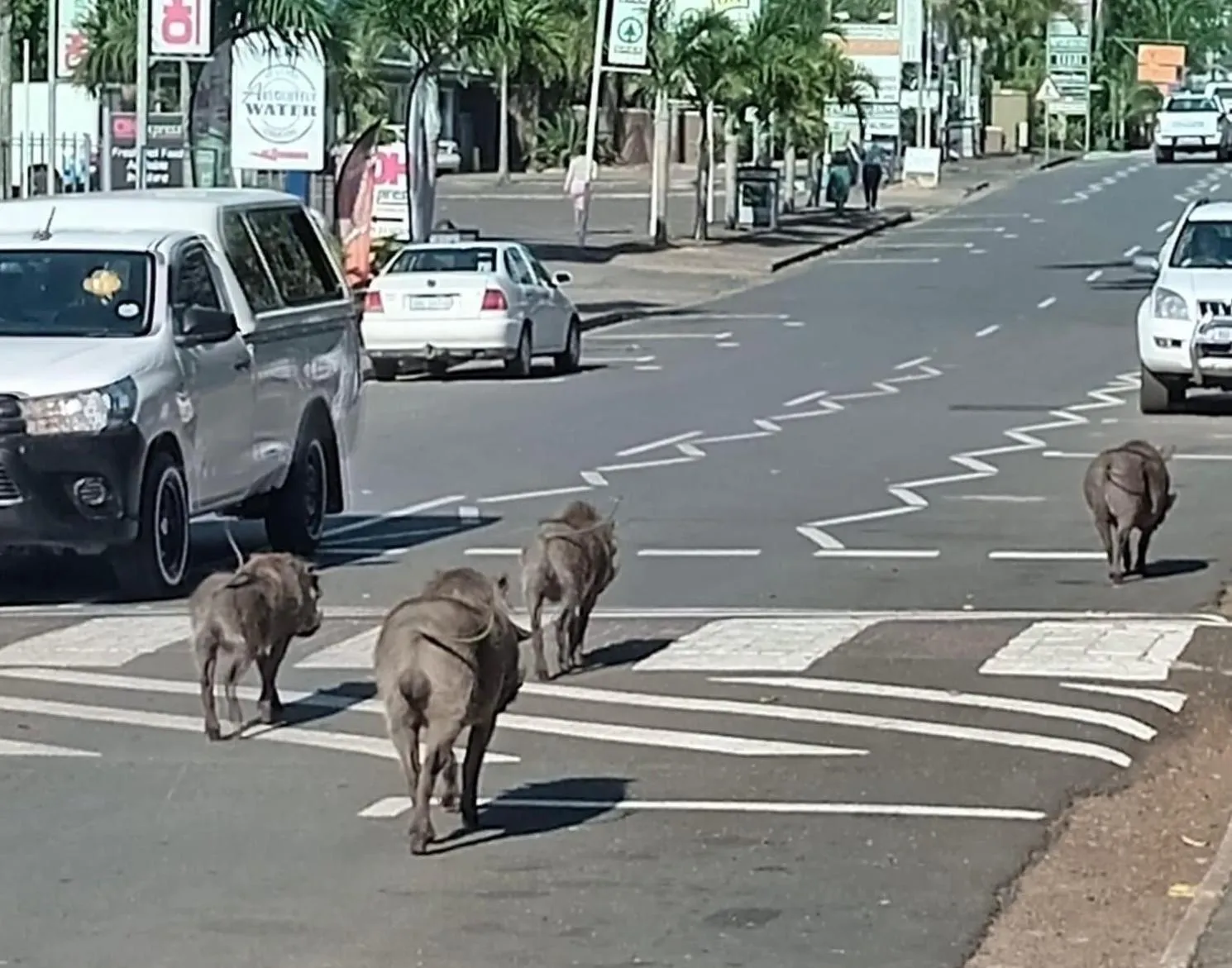 Neighbourhood in Little Eden St Lucia
