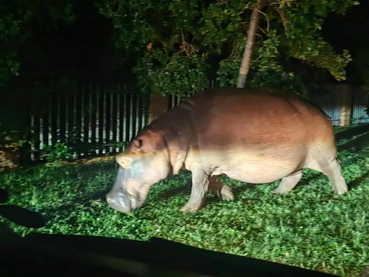 Animals in Little Eden St Lucia