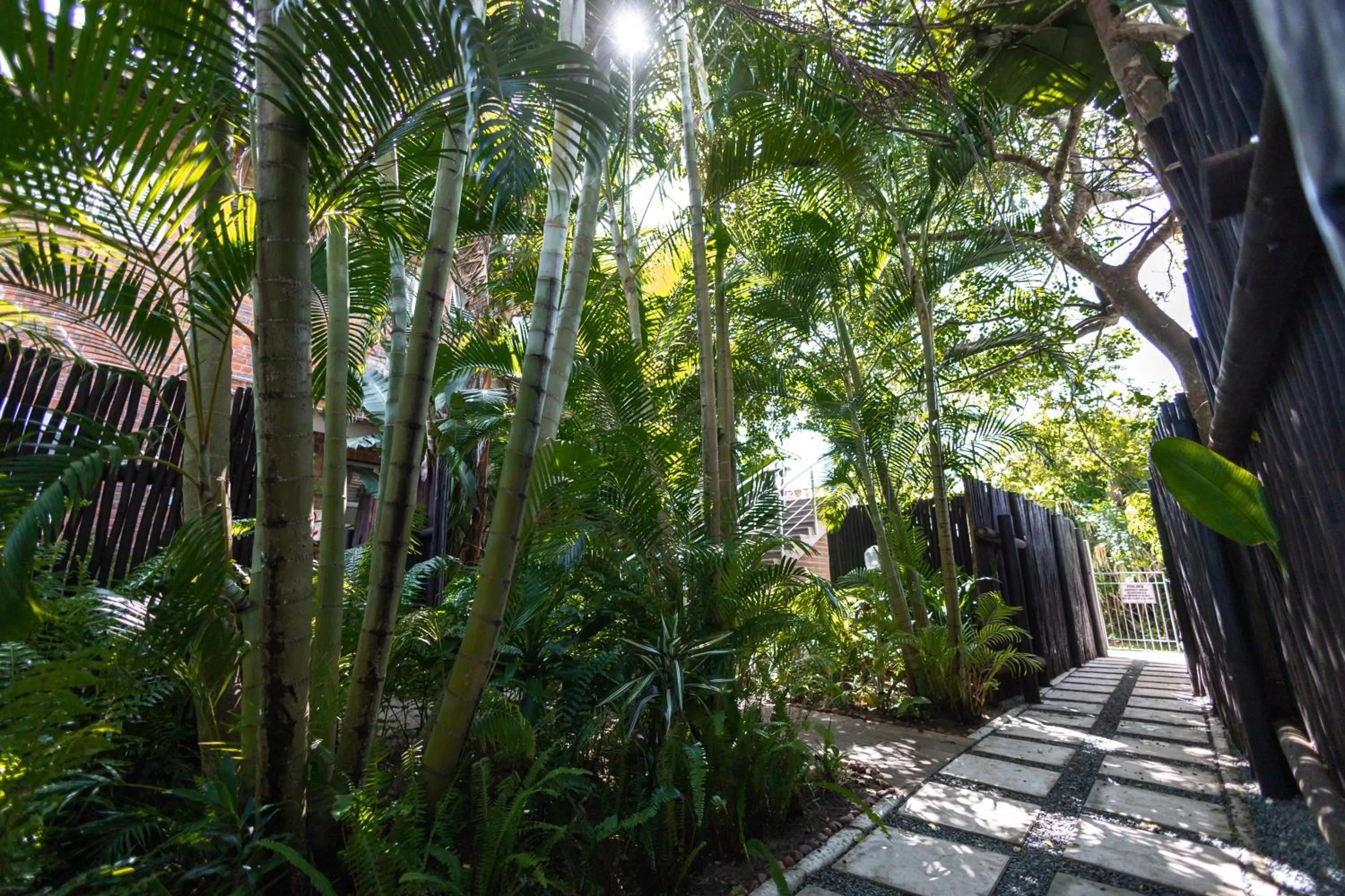 Garden in Little Eden St Lucia