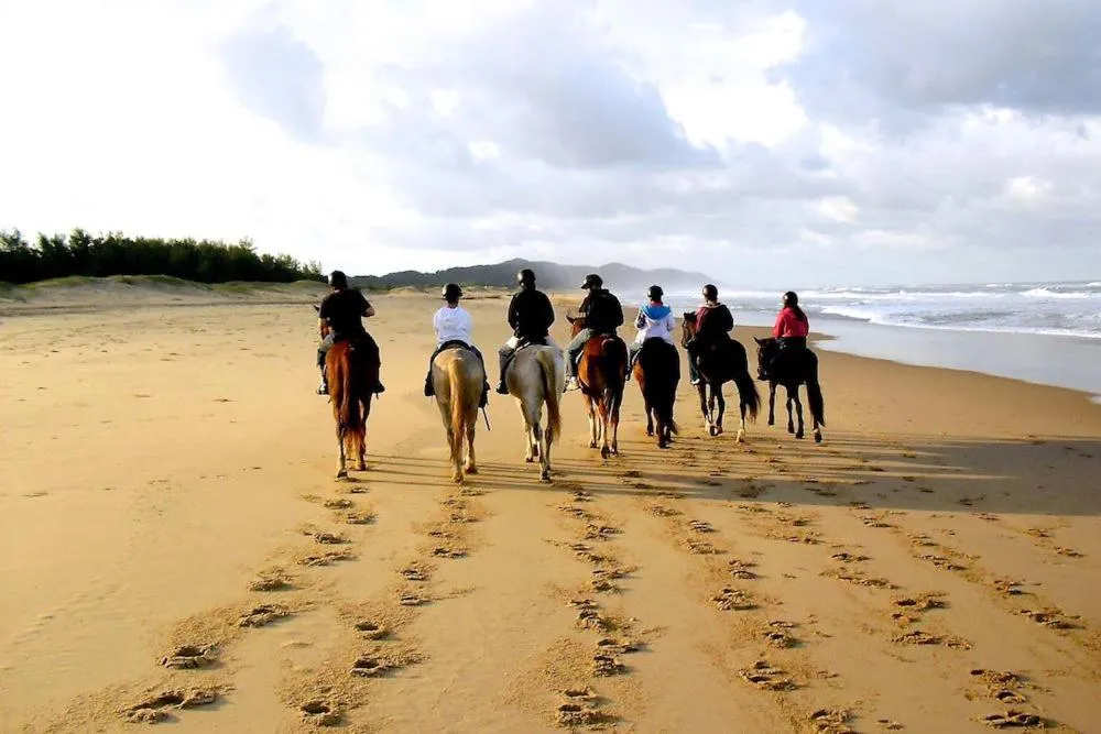 Horse-riding in Little Eden St Lucia