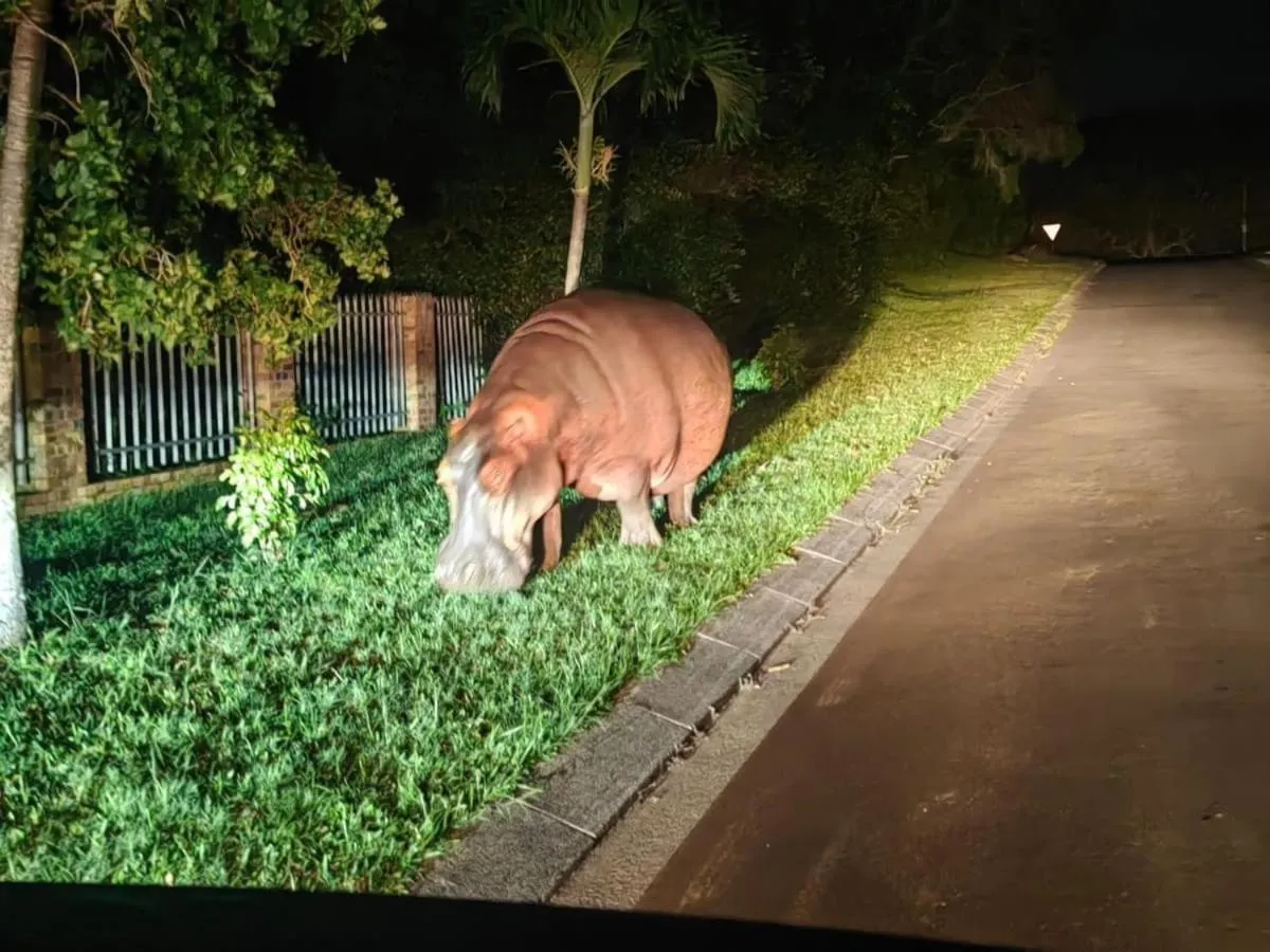 Animals in Little Eden St Lucia
