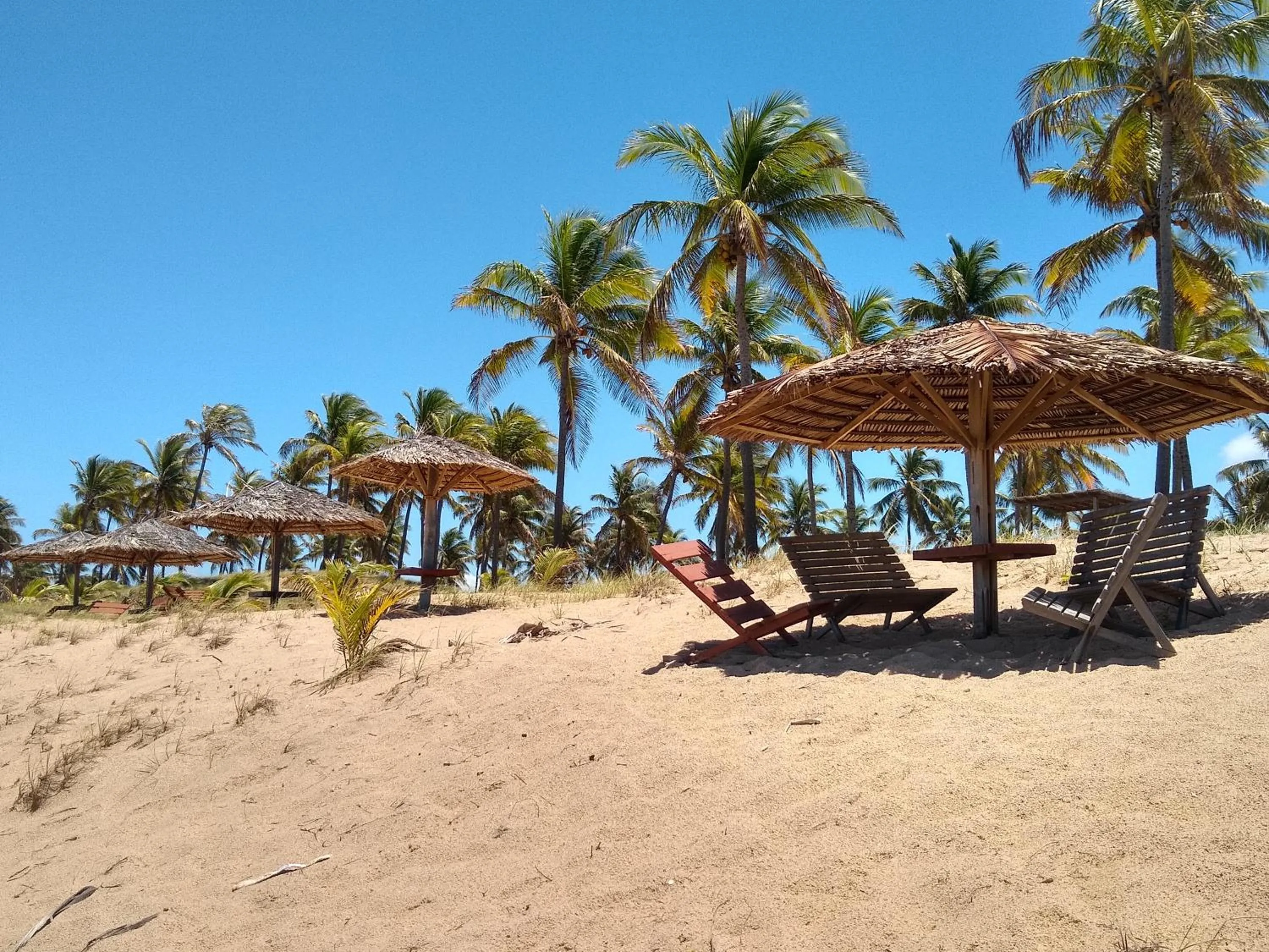 Beach in Hotel Coco Beach