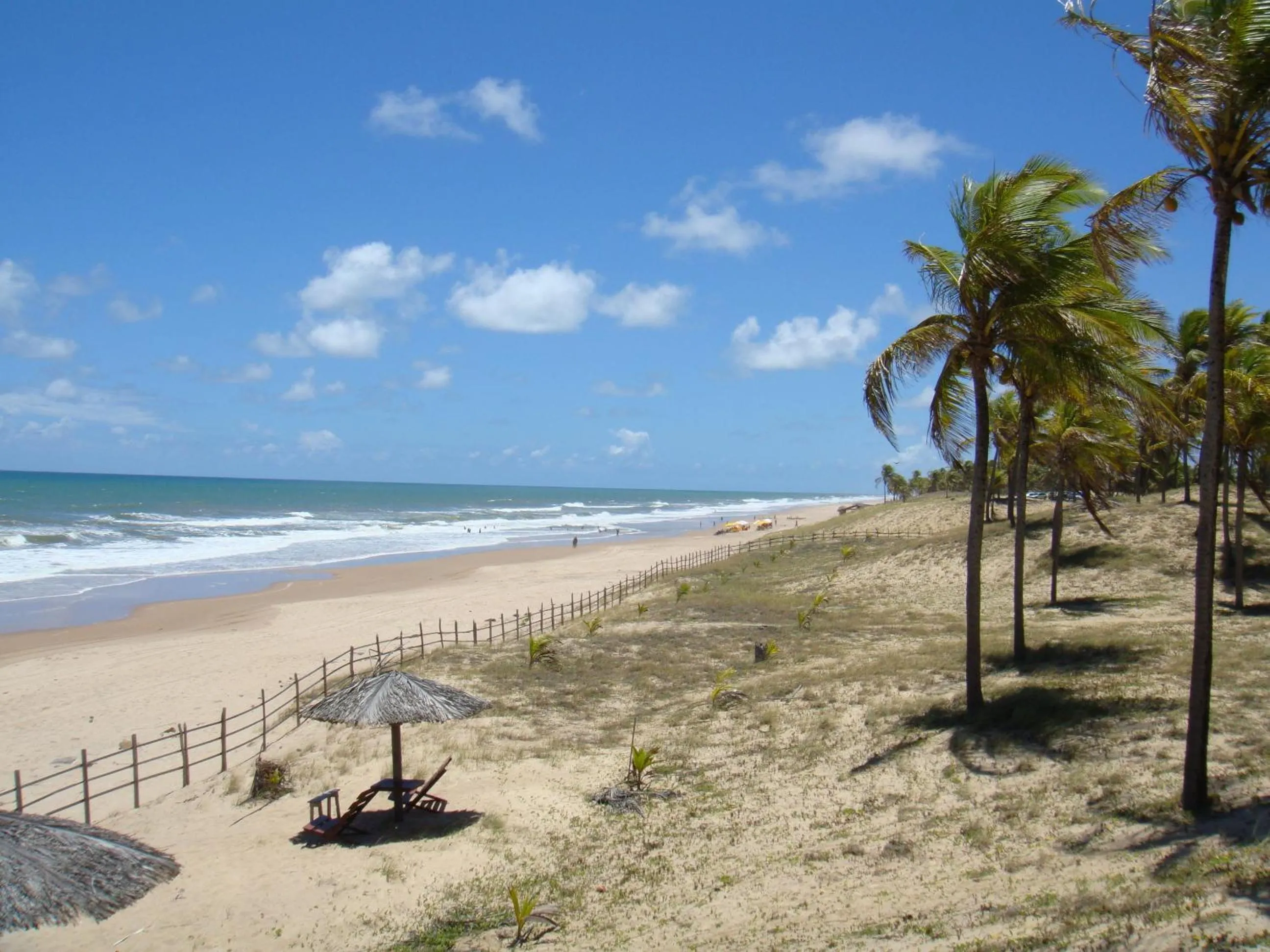 Natural landscape in Hotel Coco Beach