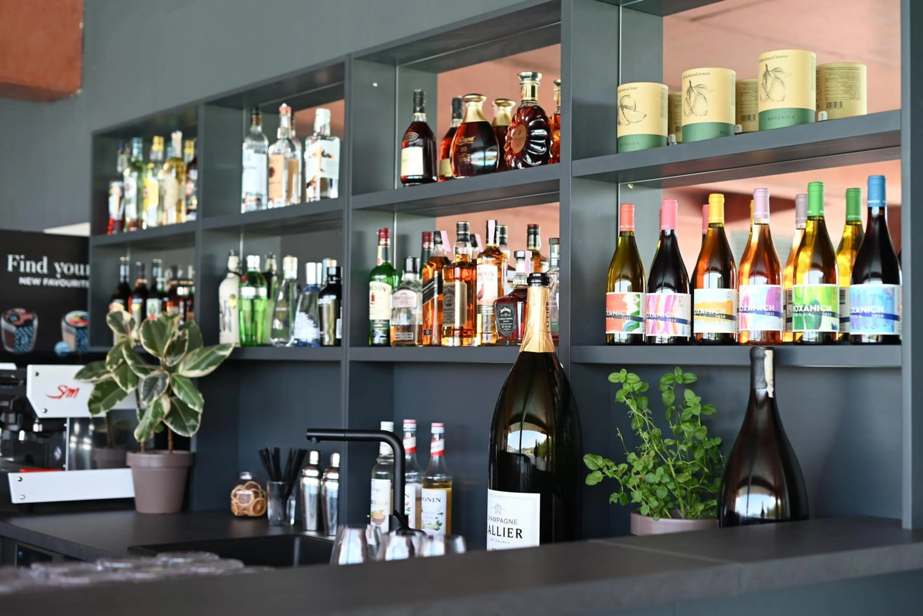 Lounge or bar in Winery & Design hotel ROXANICH