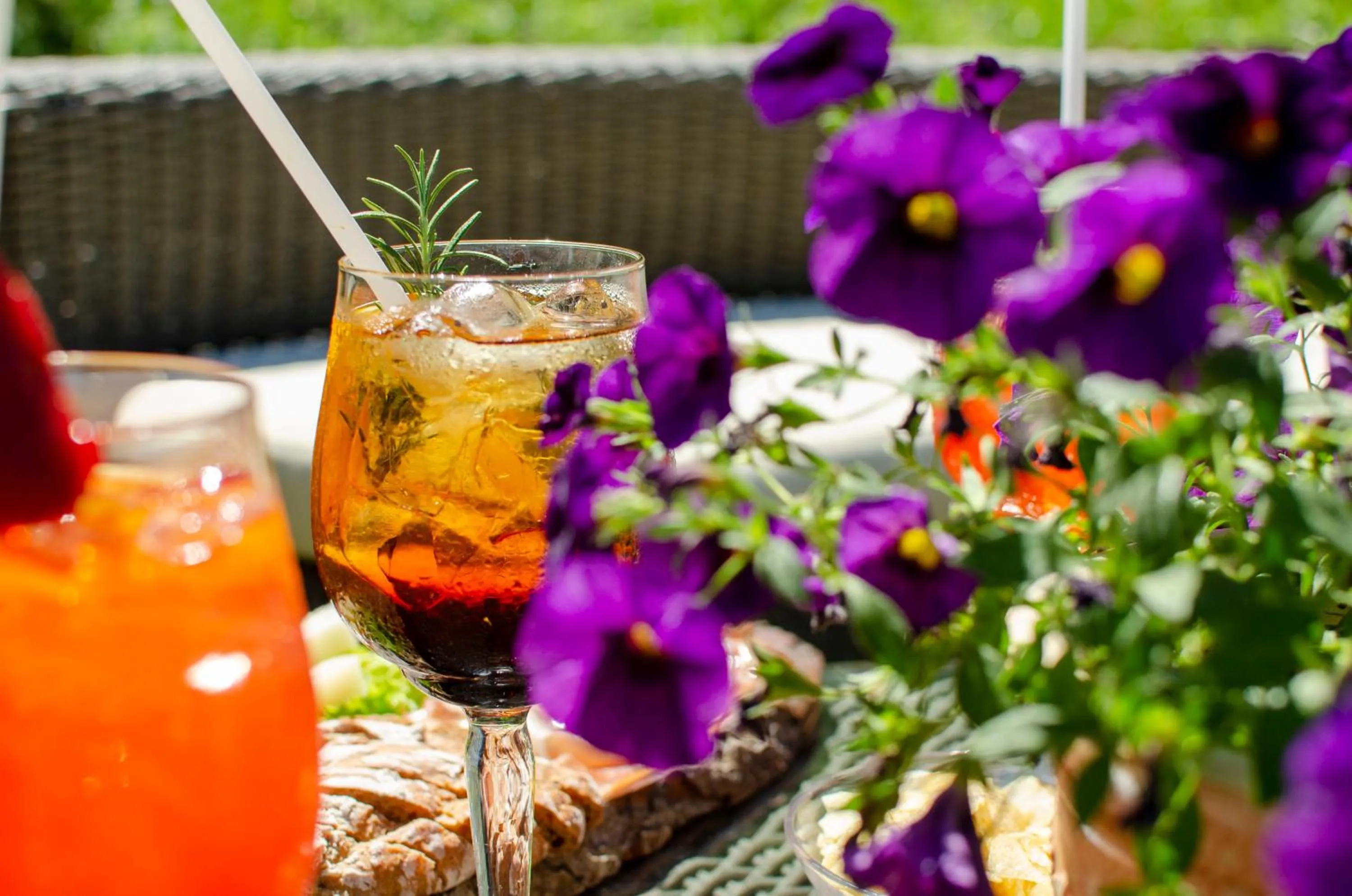 Garden in Hotel Valsorda