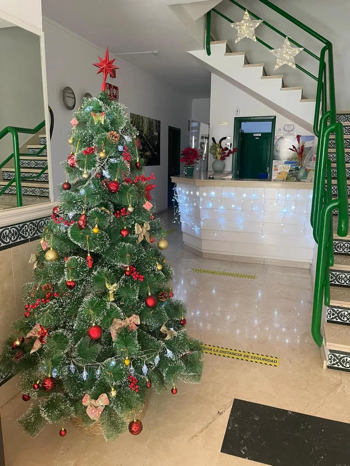 Lobby or reception in Hotel Apartamentos Villa Gomera