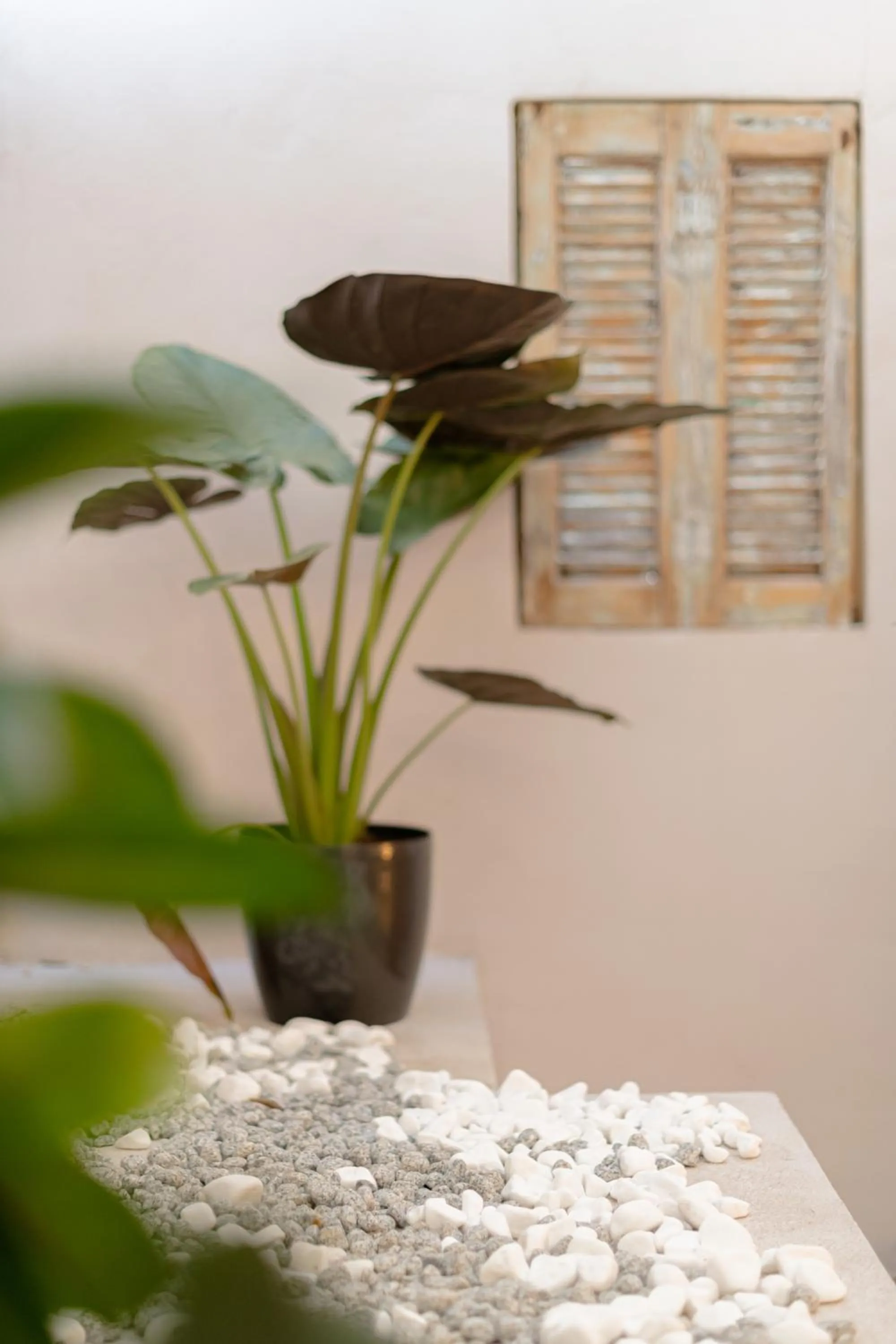 Balcony/Terrace in Ether Loft Suites