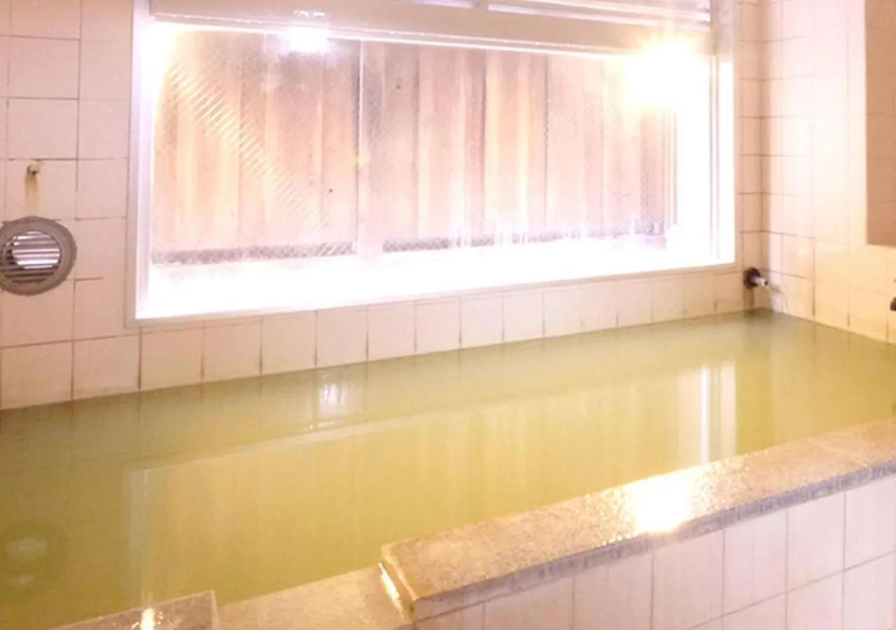 Public Bath in Okunikko Park Lodge Miyama