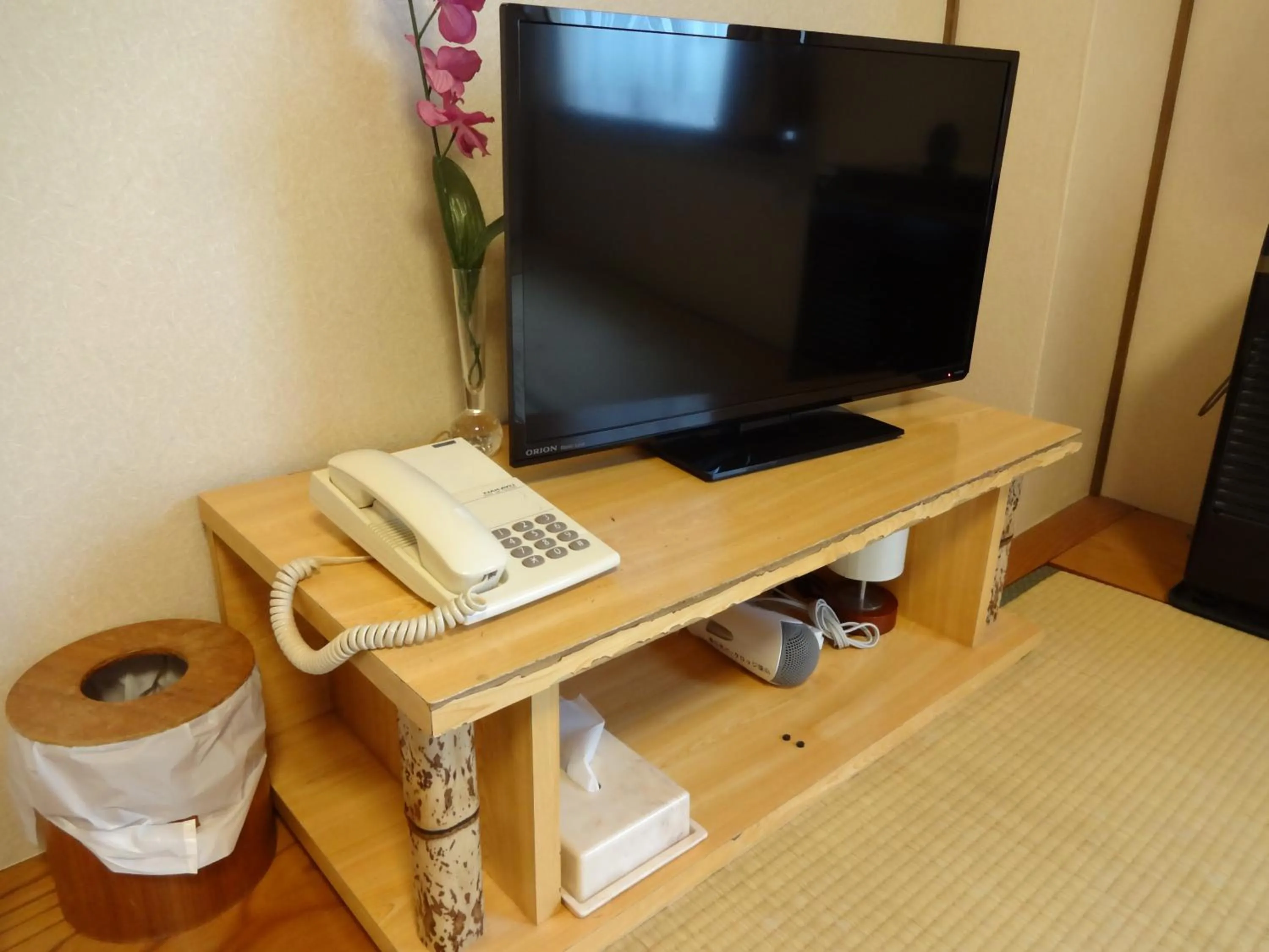 TV and multimedia in Okunikko Park Lodge Miyama
