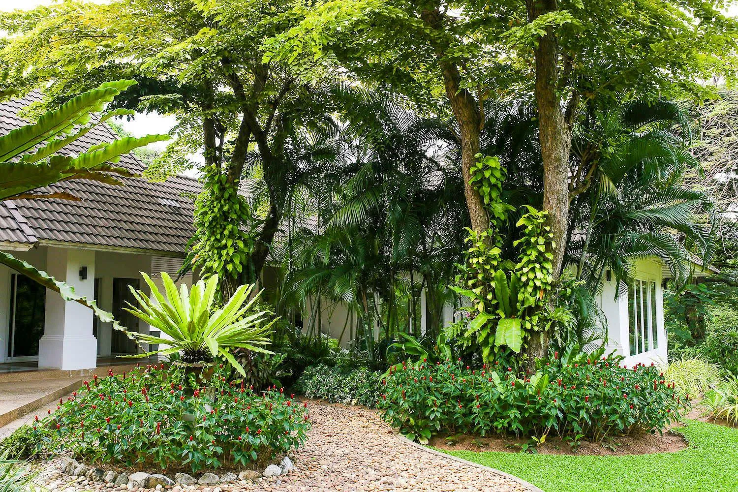 Garden in Tamarind Exclusive Villa
