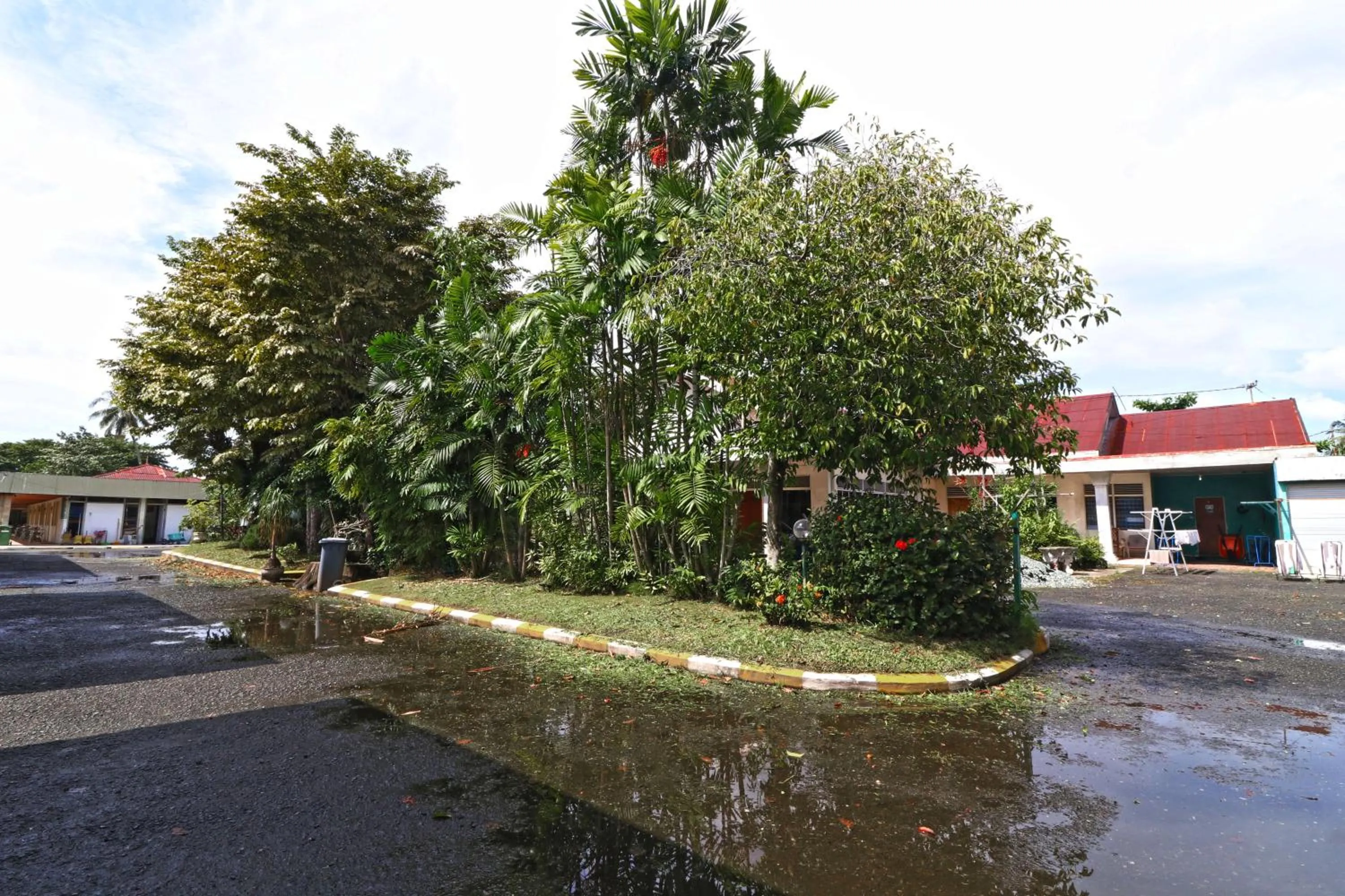 Garden in Hotel Sampaga
