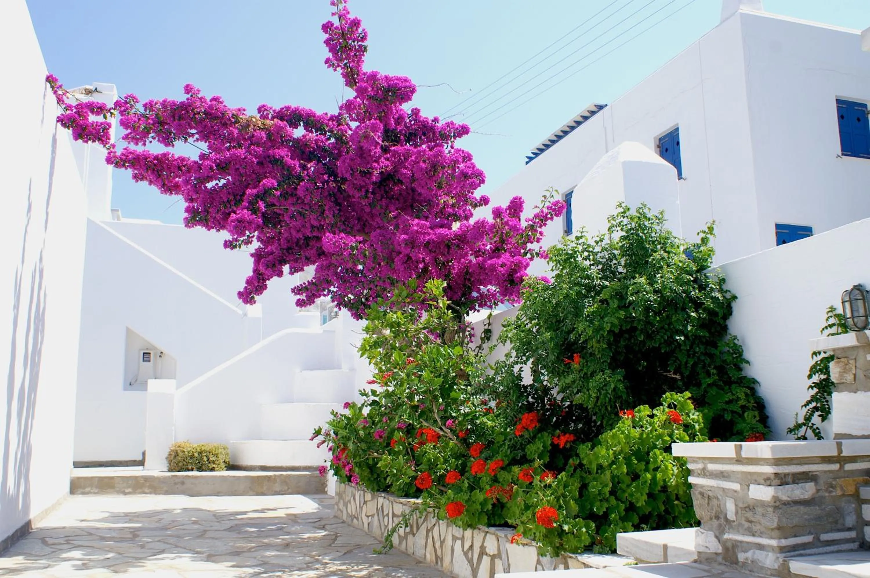 Garden in Adonis Hotel Studios & Apartments