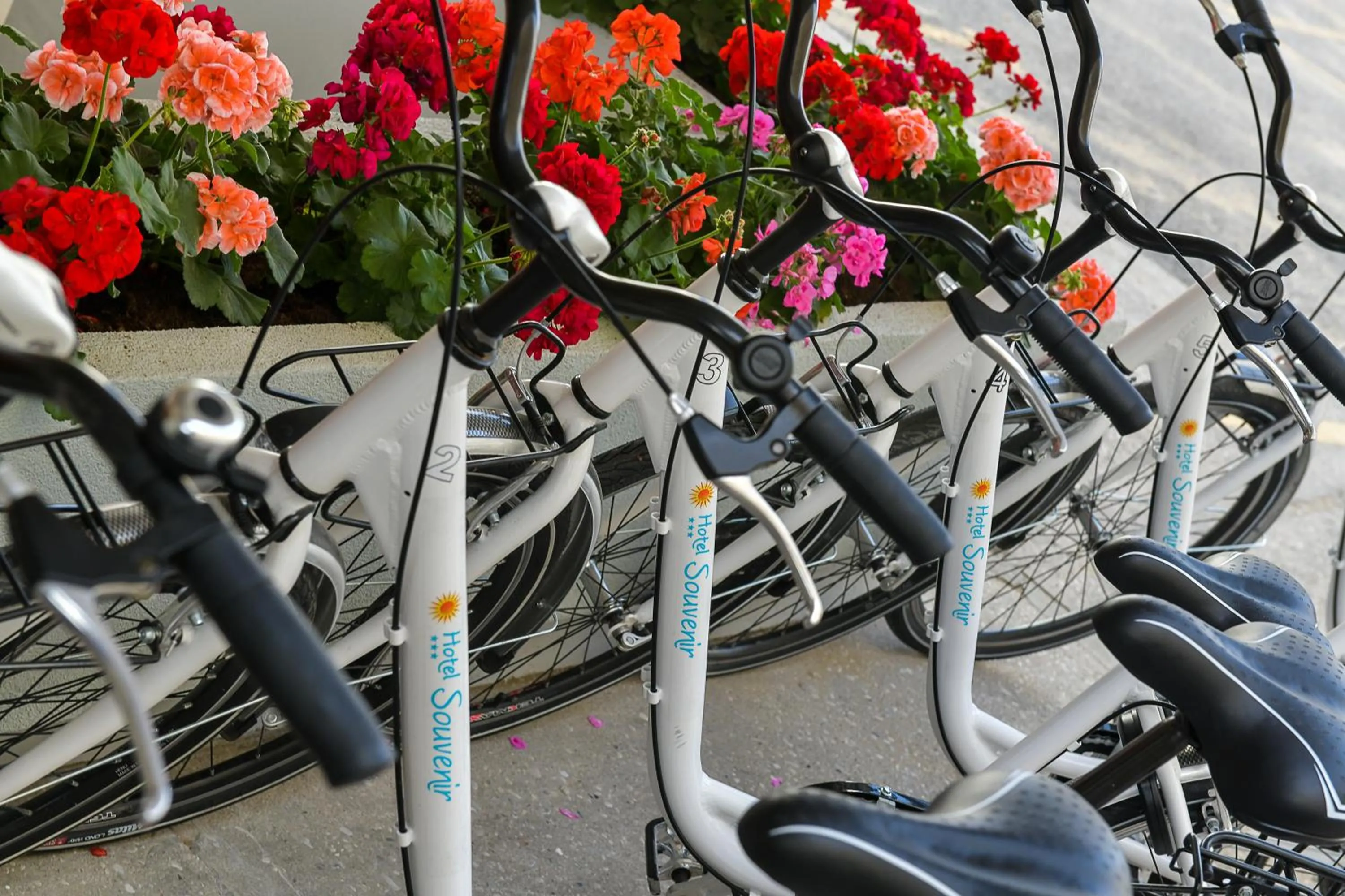 Cycling in Hotel Souvenir