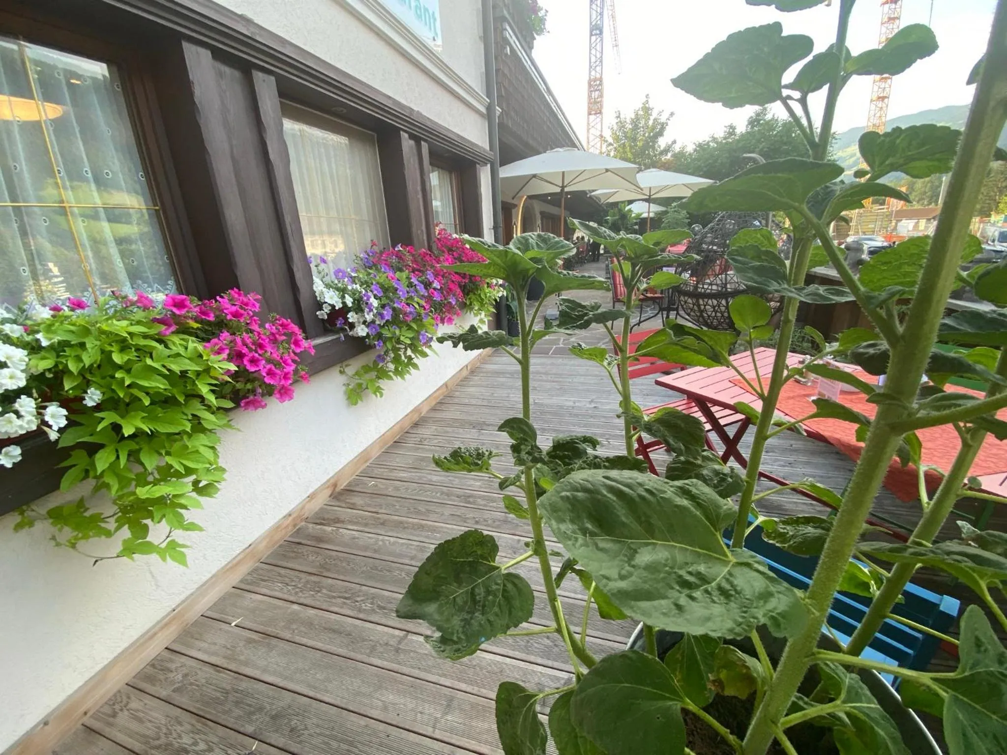 Restaurant/places to eat in Hotel Standlhof Zillertal