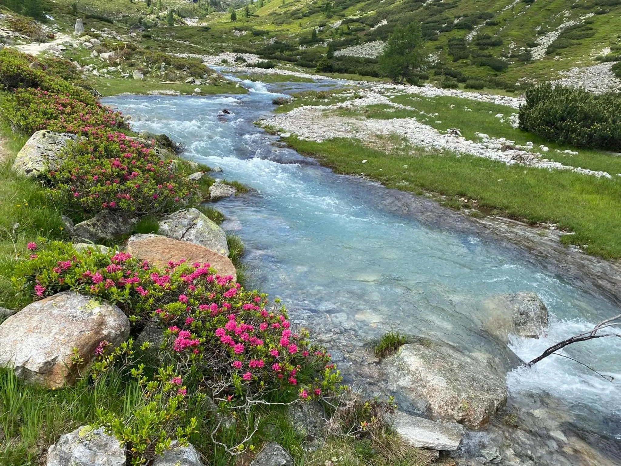 Natural landscape in Hotel Standlhof Zillertal