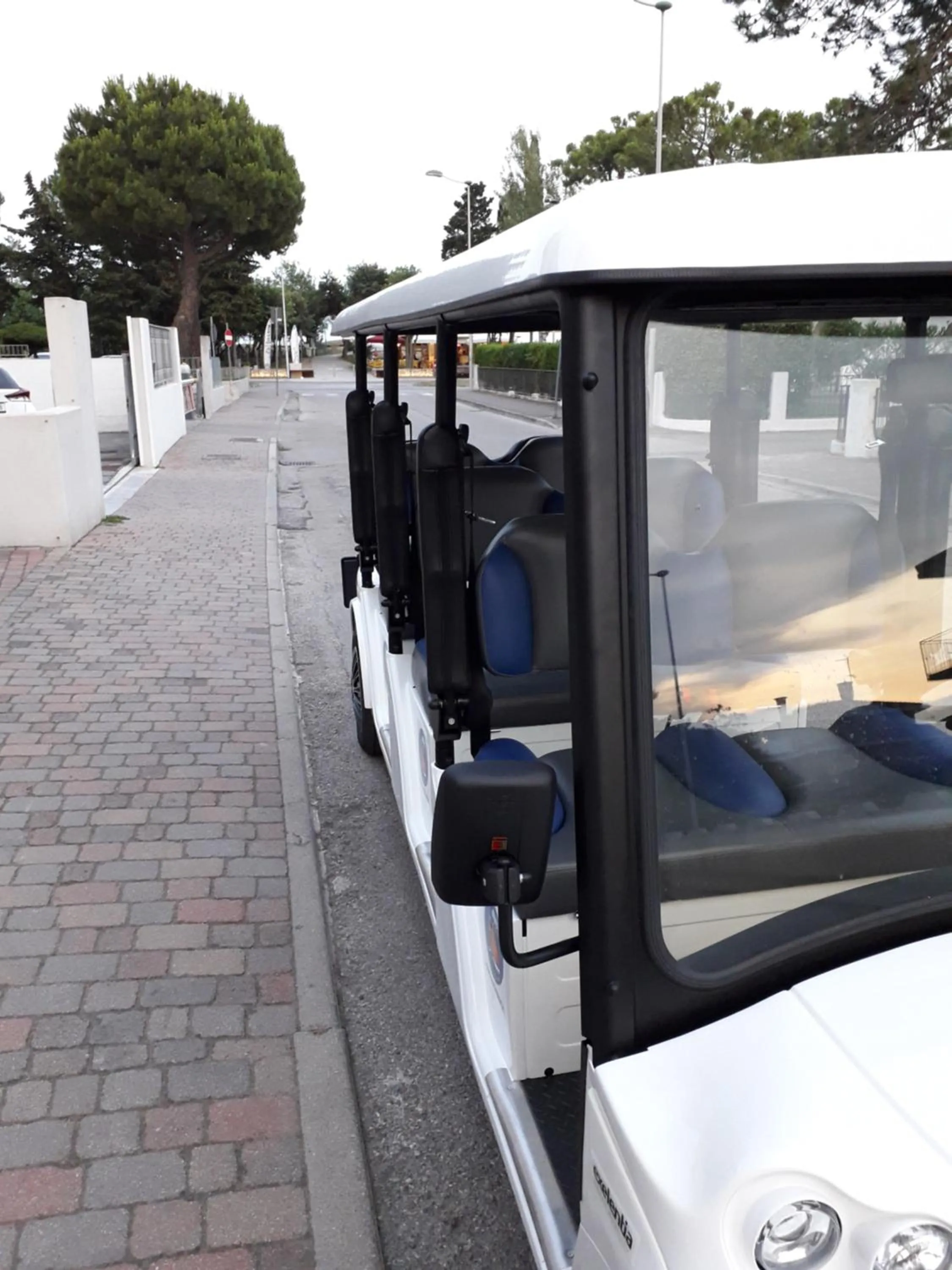 Entertainment in Hotel Ambassador