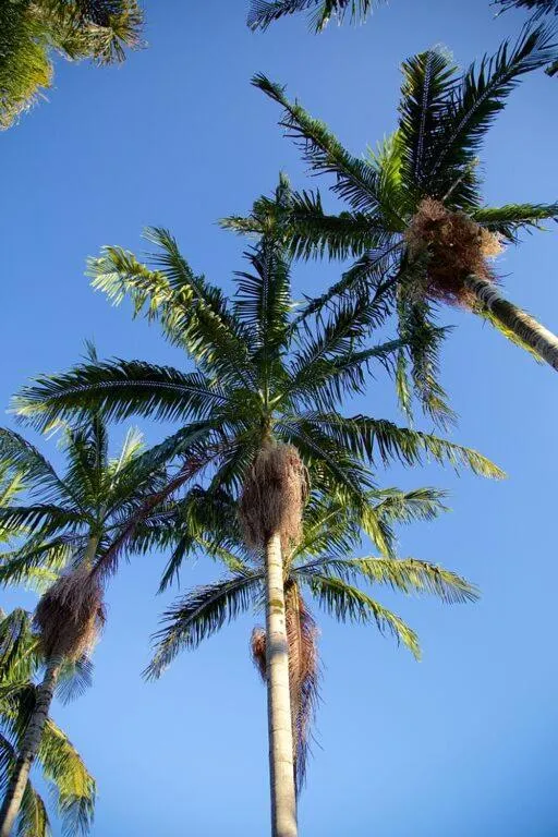 Natural landscape in Christie's Inn