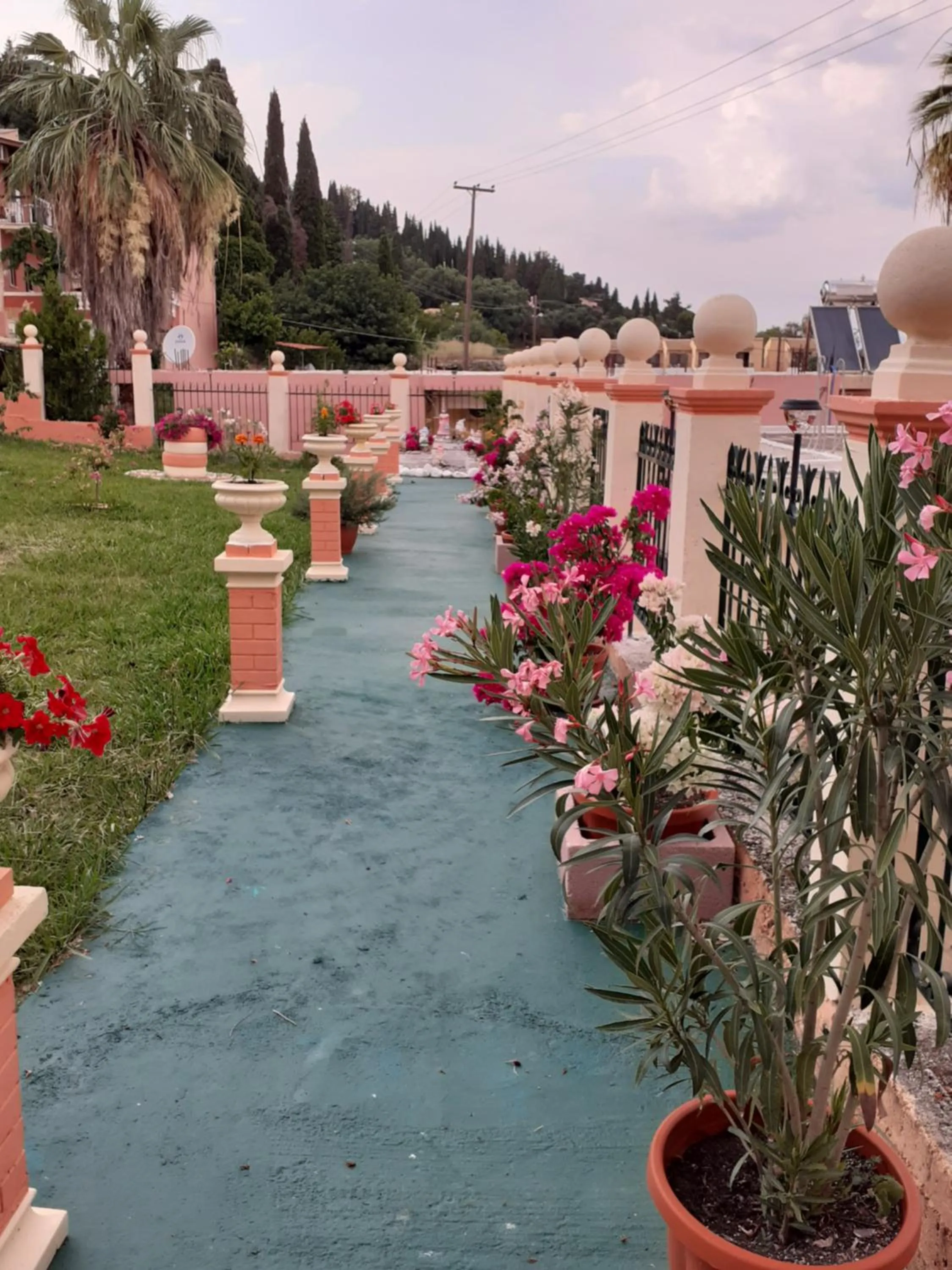 Garden in Corfu Sunflower Apartments