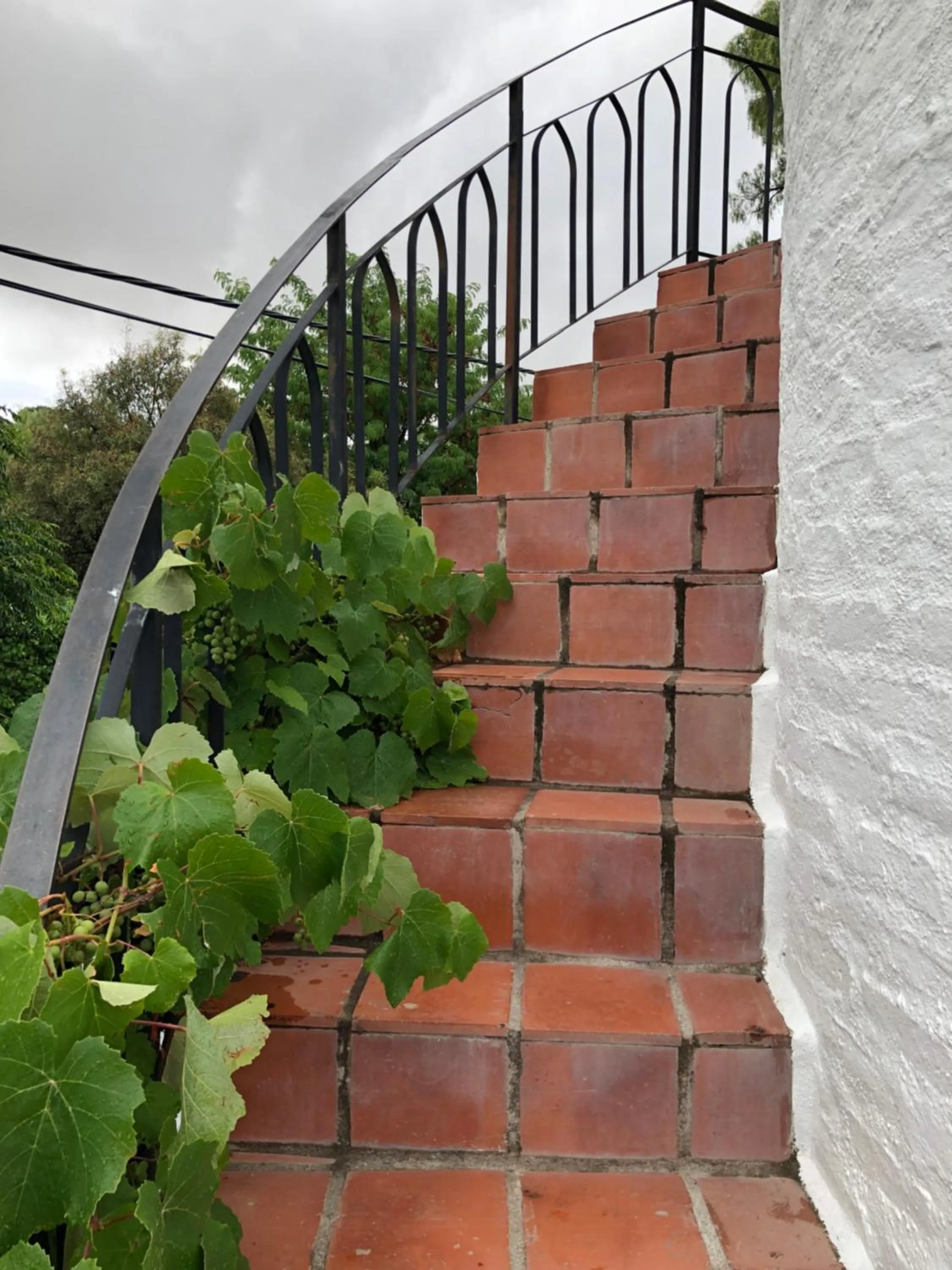 Garden in Bethesda Tower Accommodation