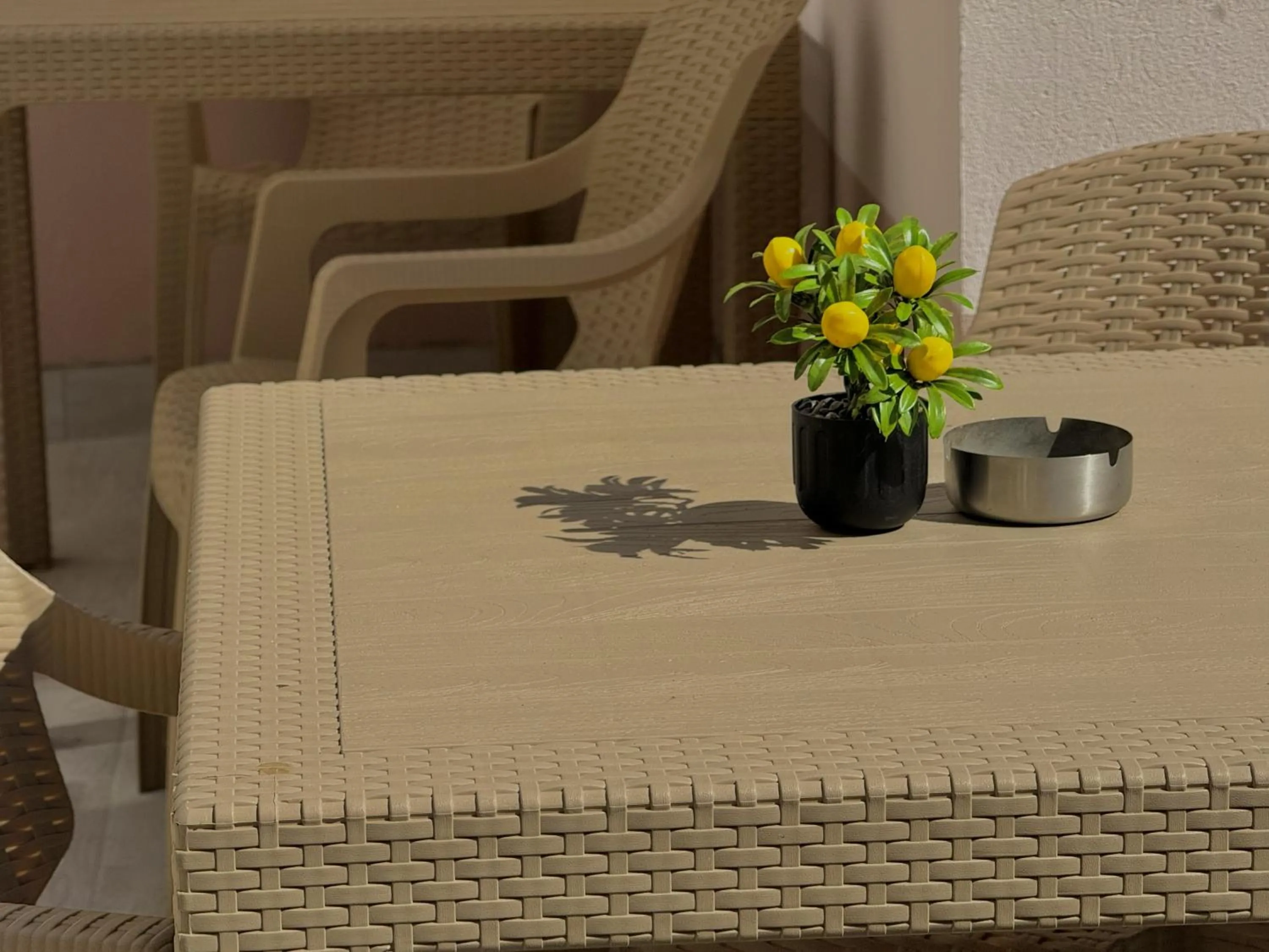 Balcony/Terrace in Pension Recidency