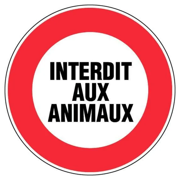 Pets in Hébergement Artense