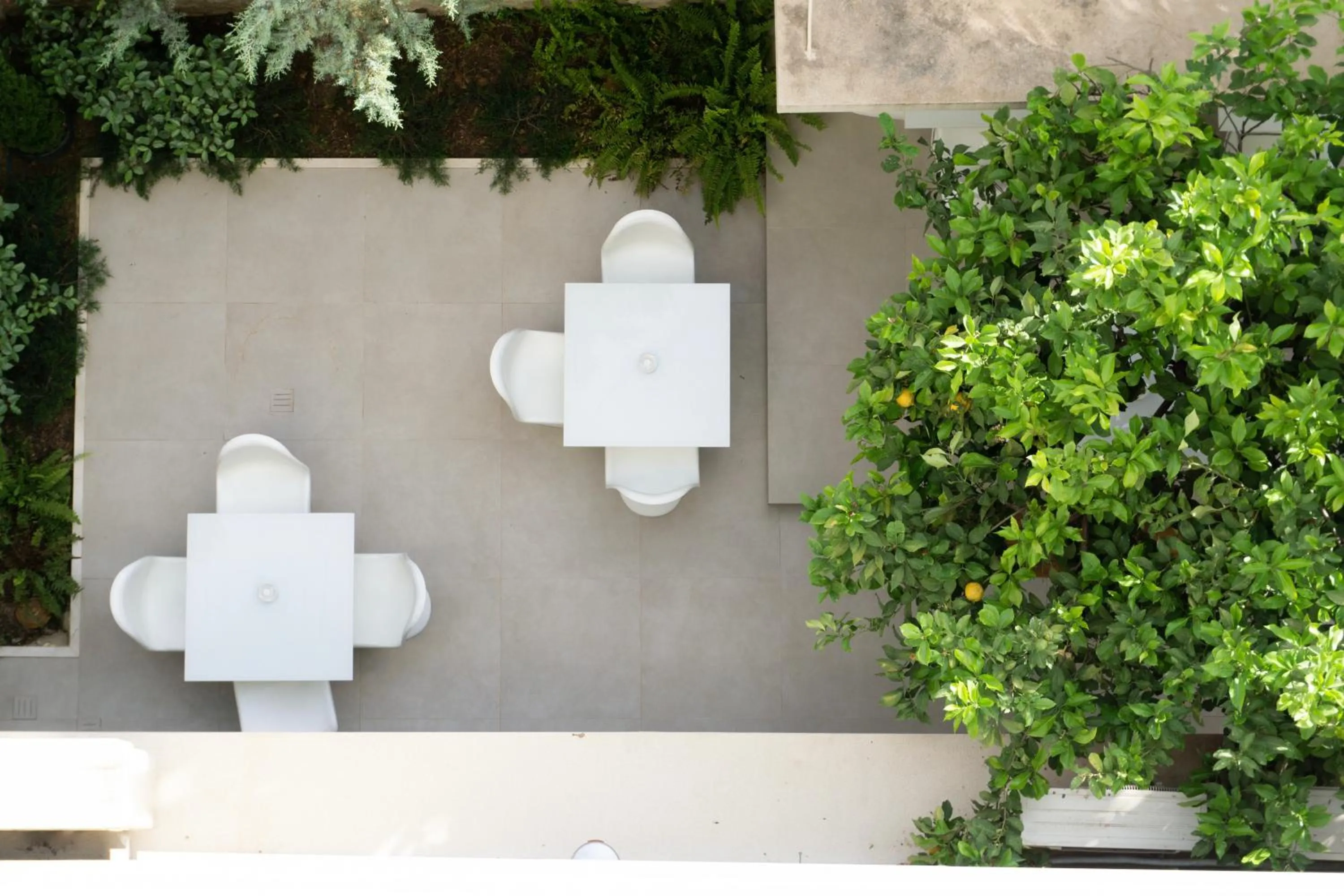 Garden view in City Loft Hotel