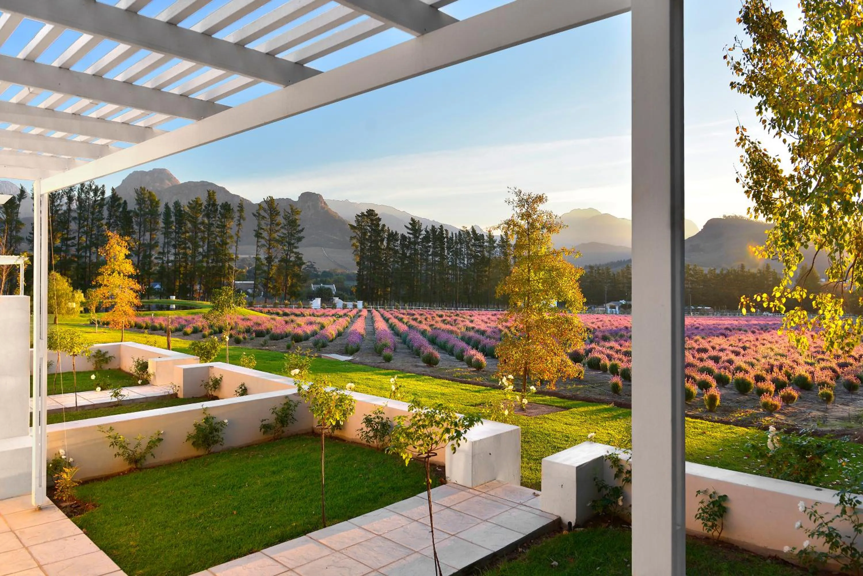 Patio in Lavender Farm Boutique Guest House