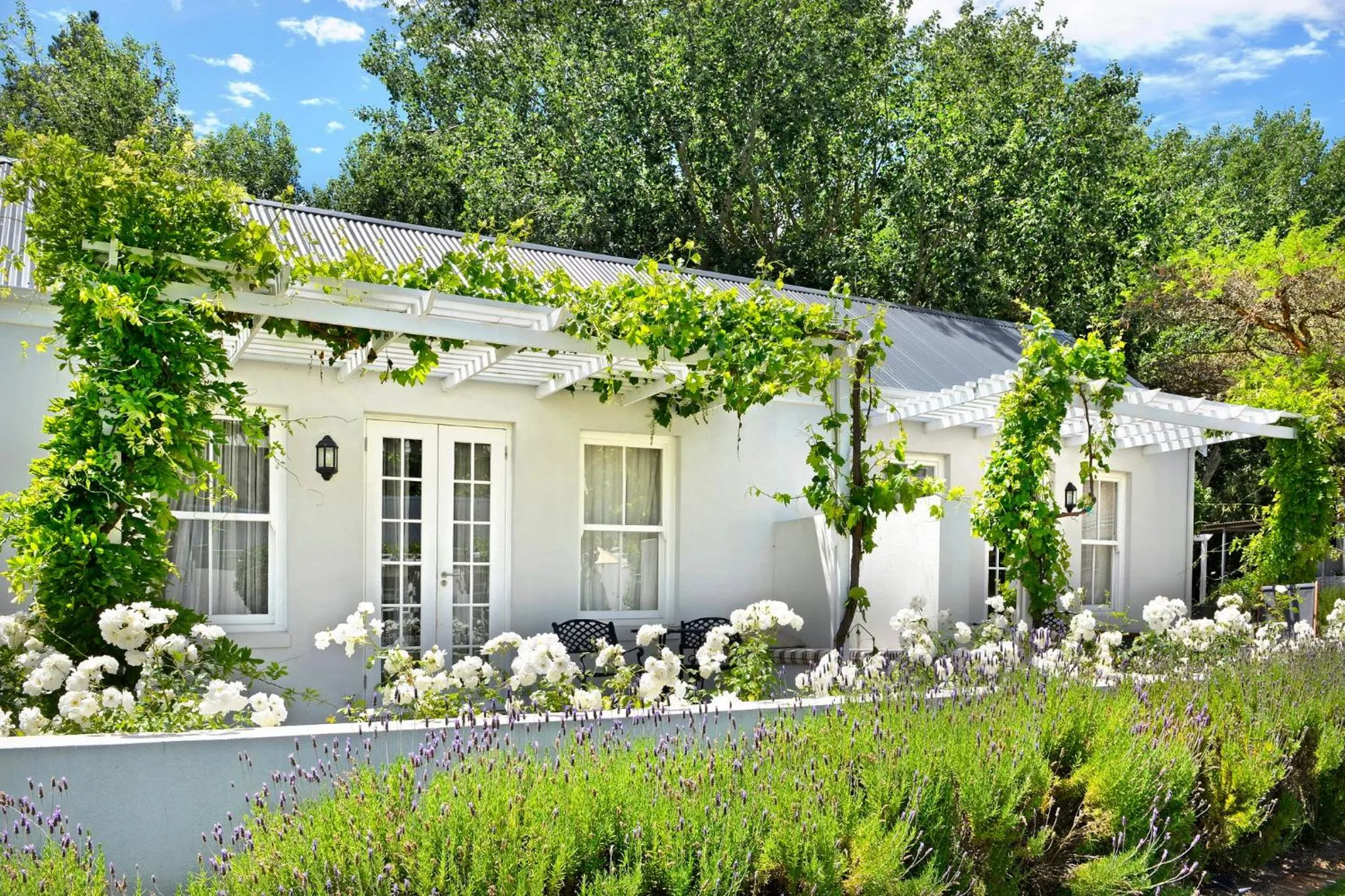 Garden in Lavender Farm Boutique Guest House