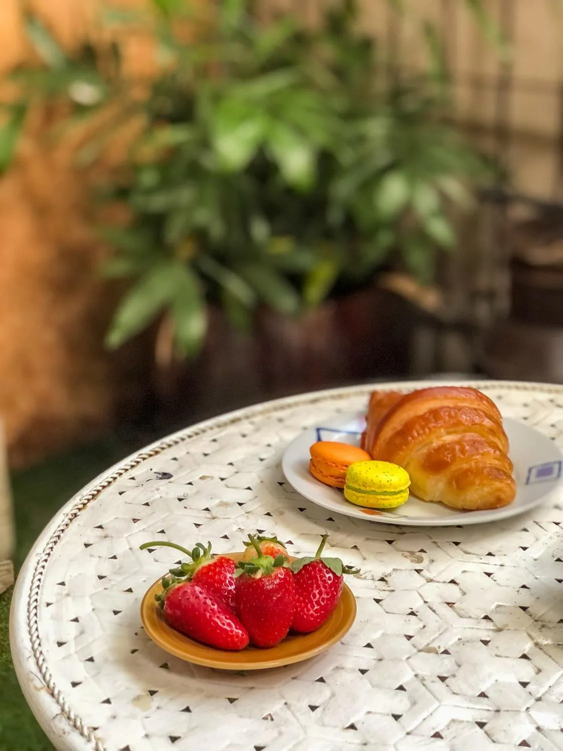 Food in Trieste Neve Tzedek Boutique Suites Tel Aviv