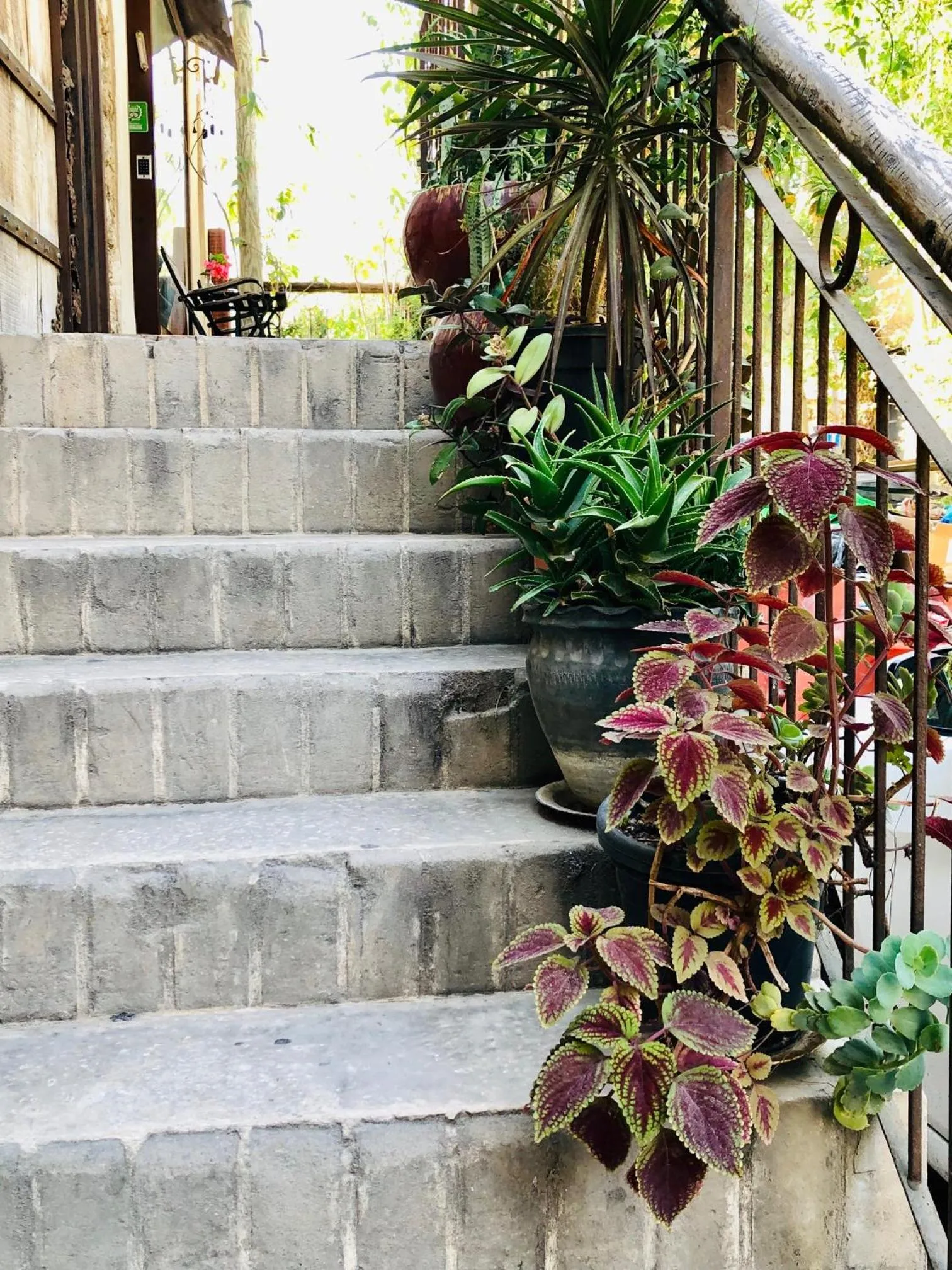 Spring in Trieste Neve Tzedek Boutique Suites Tel Aviv