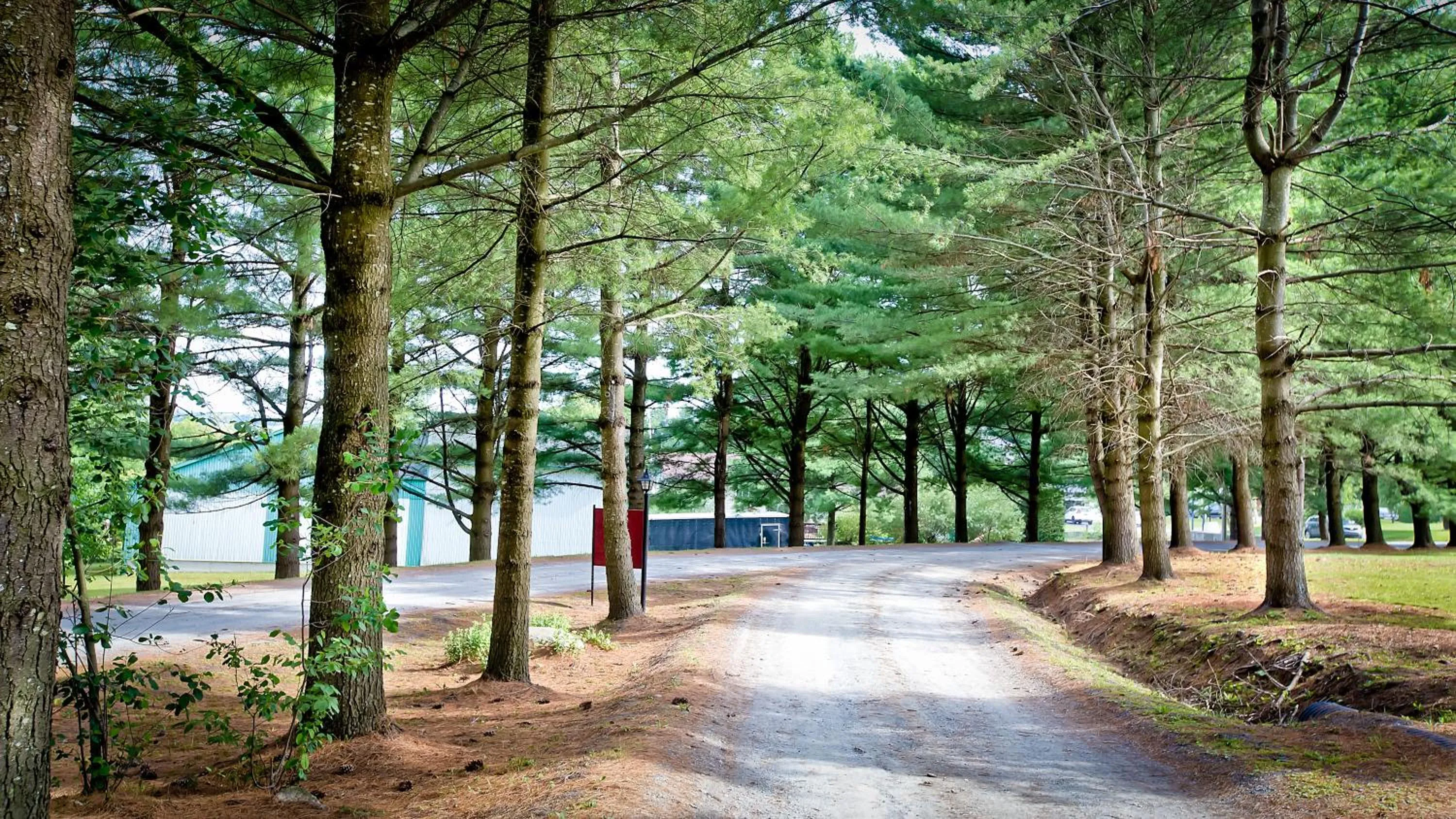 Garden in Auberge Papillon Lune