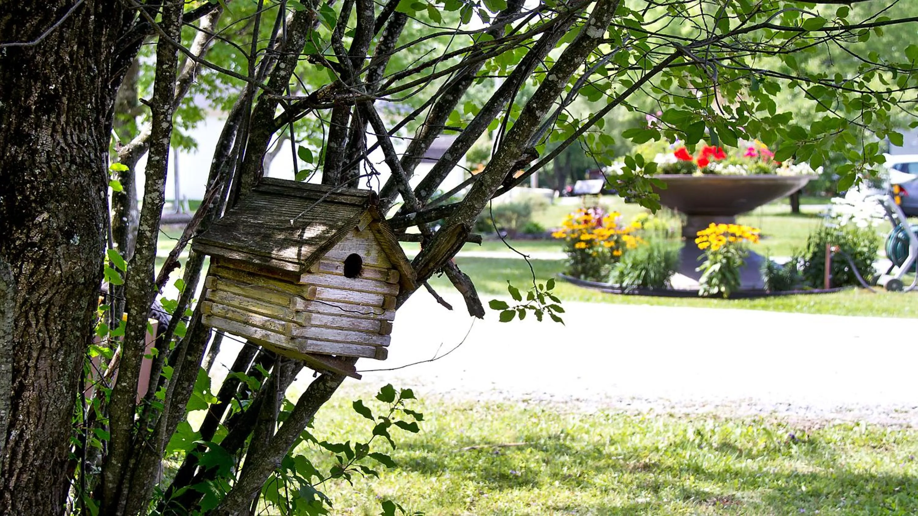 Garden in Auberge Papillon Lune