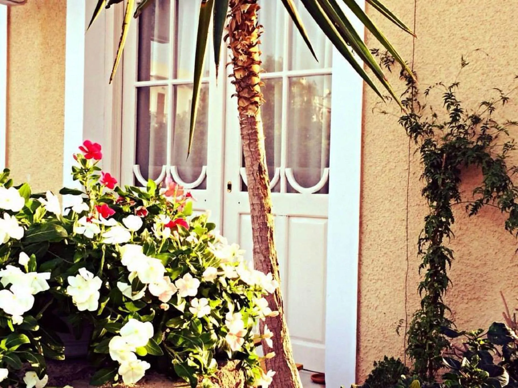 Area and facilities in Hotel Aegina