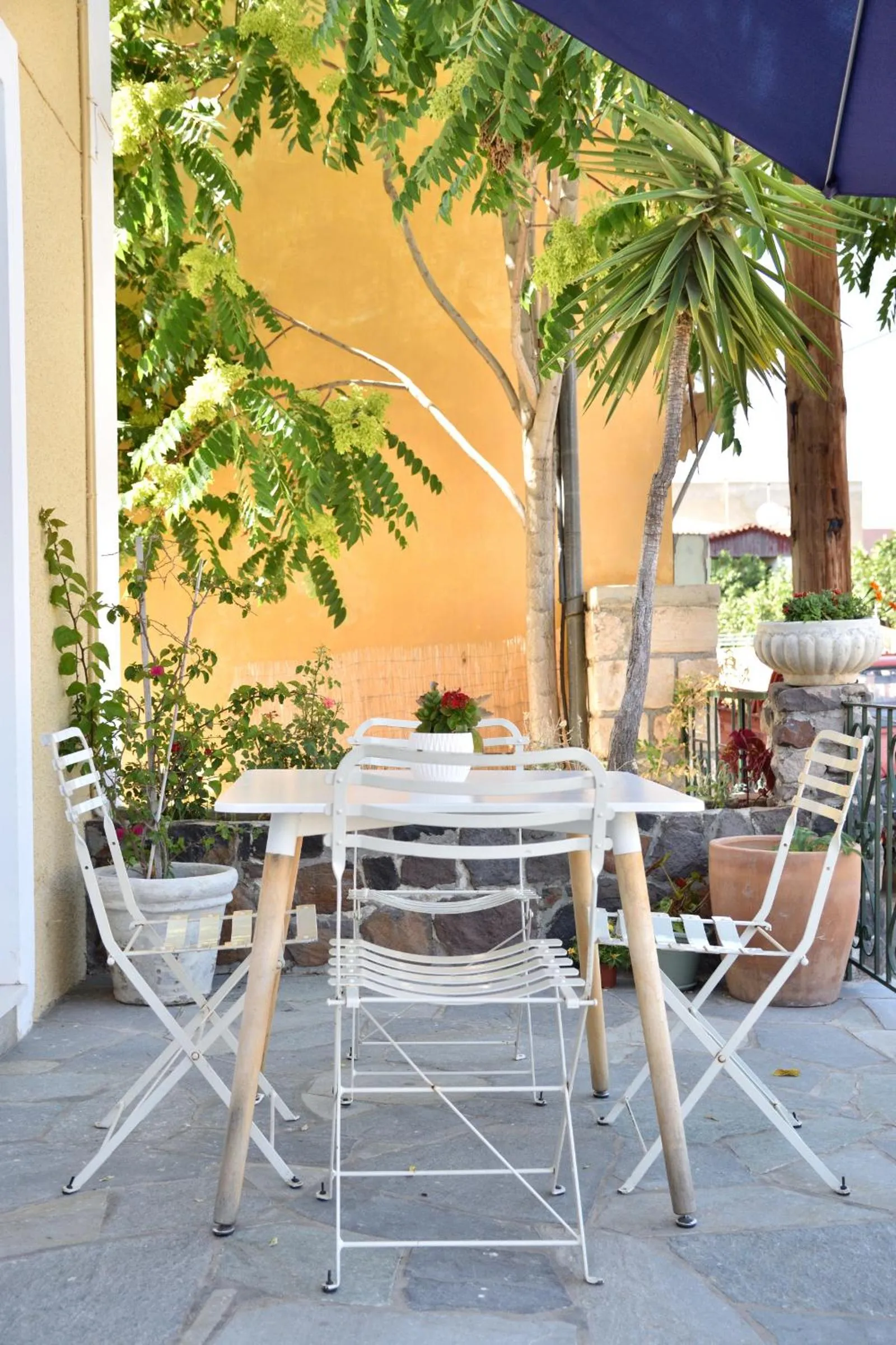 Patio in Hotel Aegina