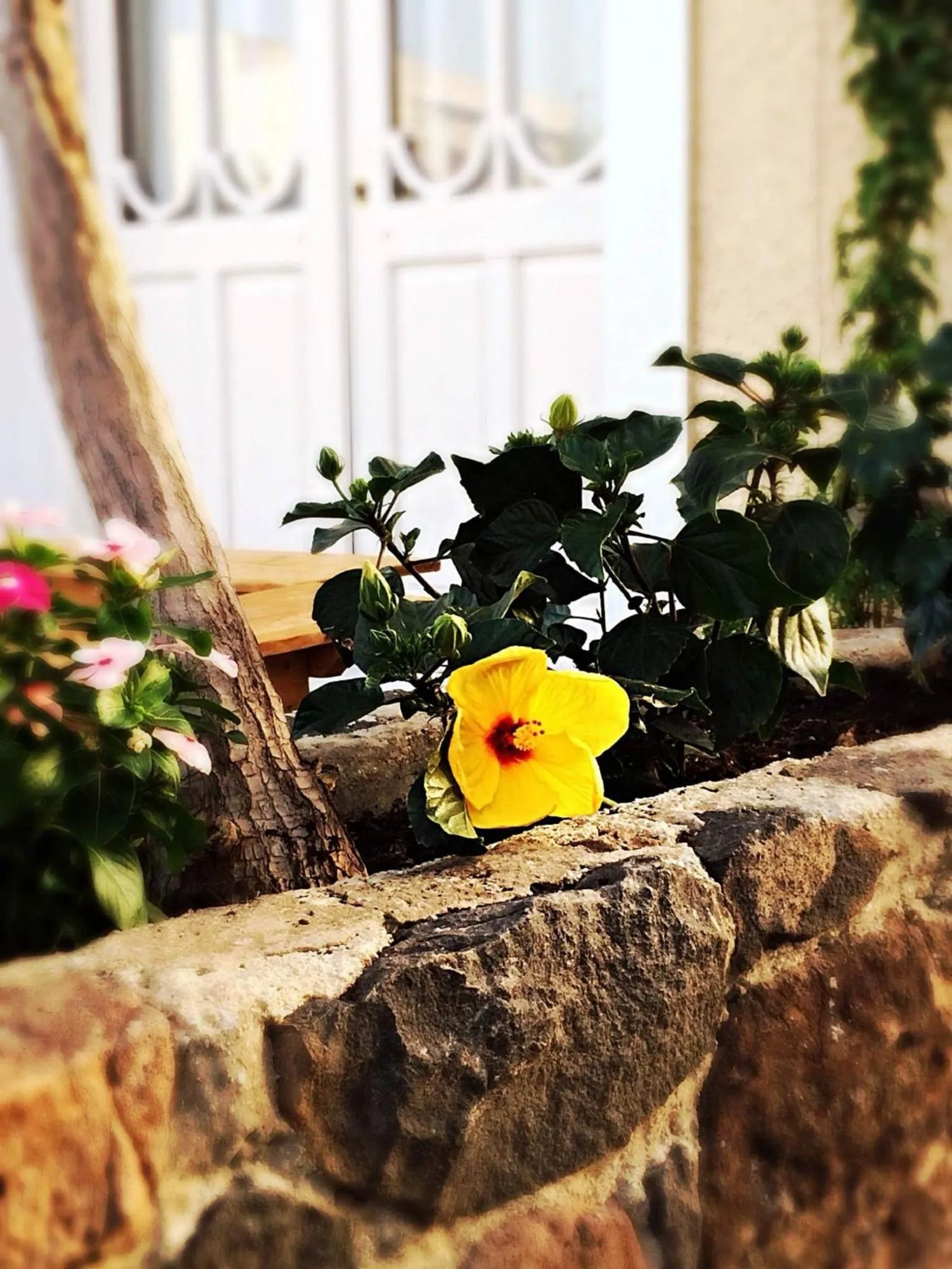 Decorative detail in Hotel Aegina