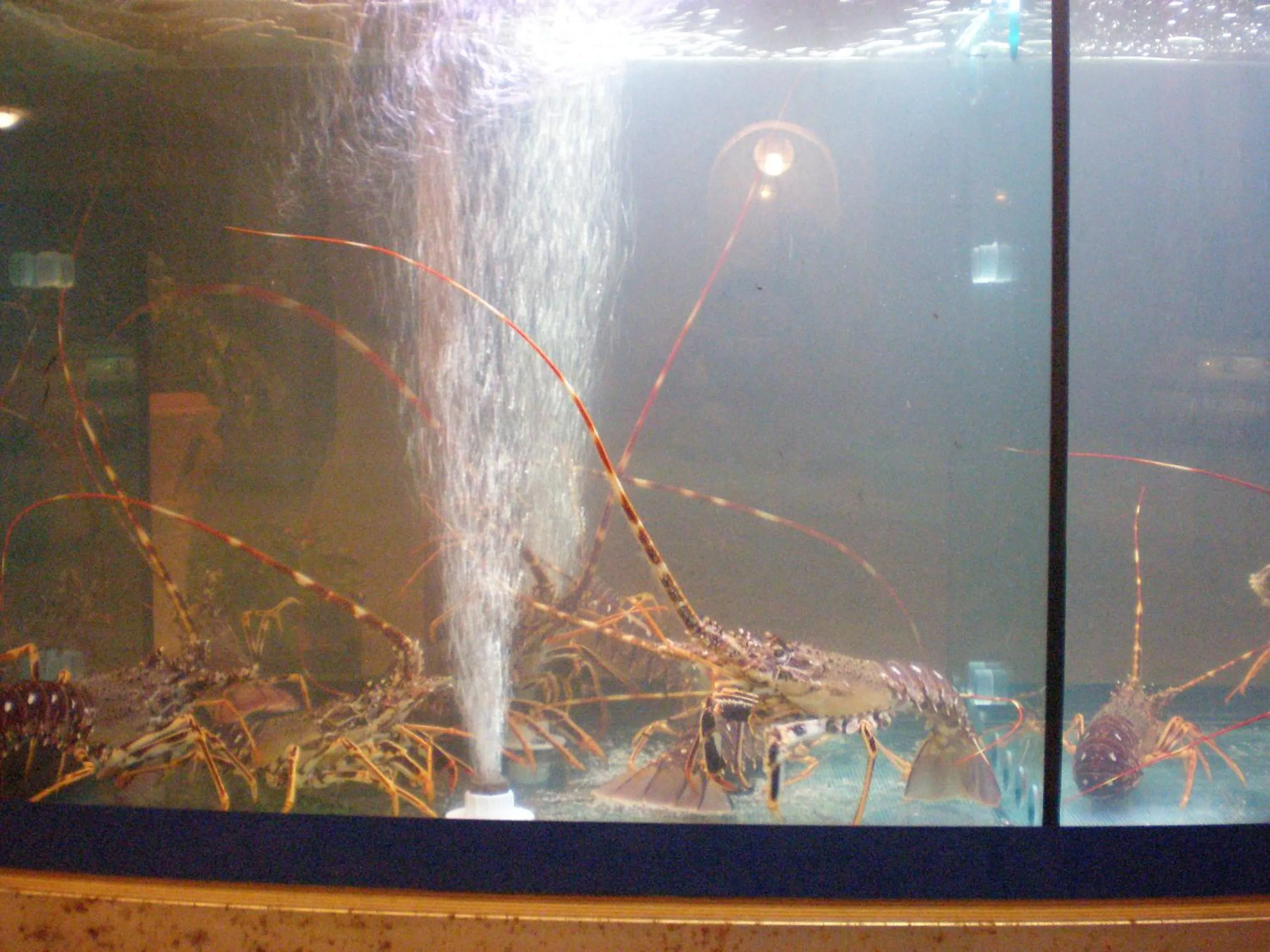 Restaurant/places to eat in Agnanti Hotel