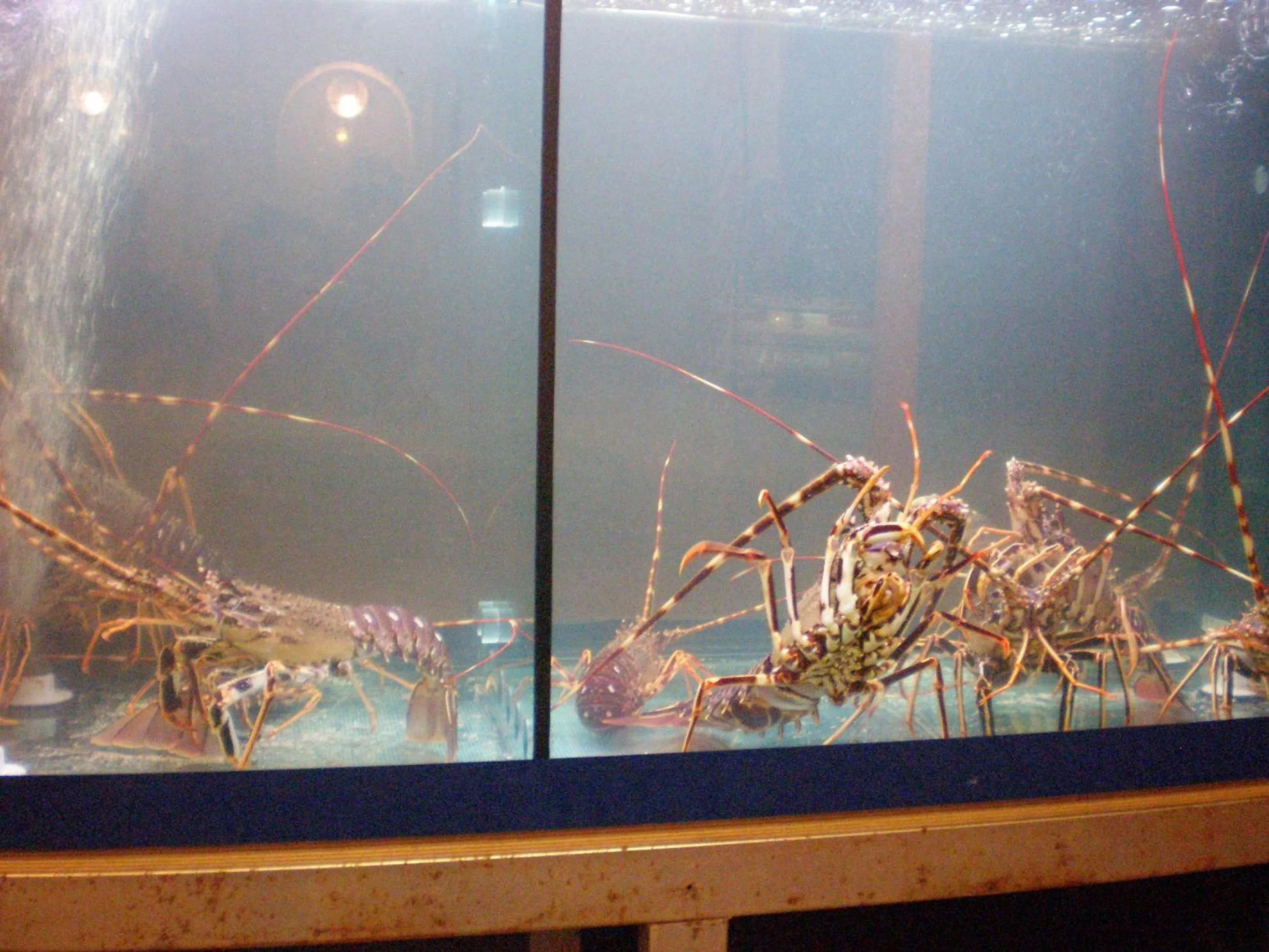 Restaurant/places to eat in Agnanti Hotel