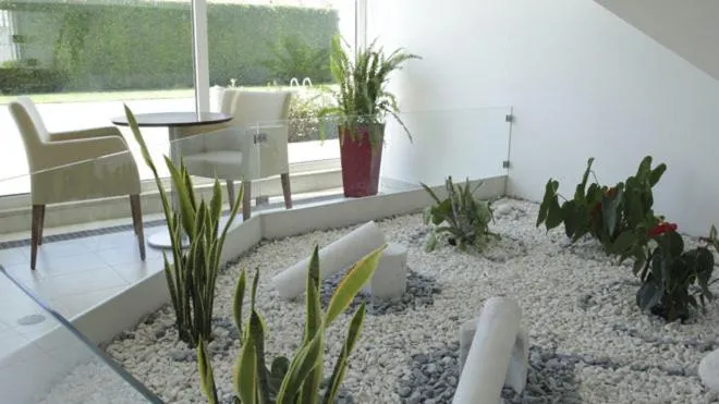 Garden in Hotel A Esteva