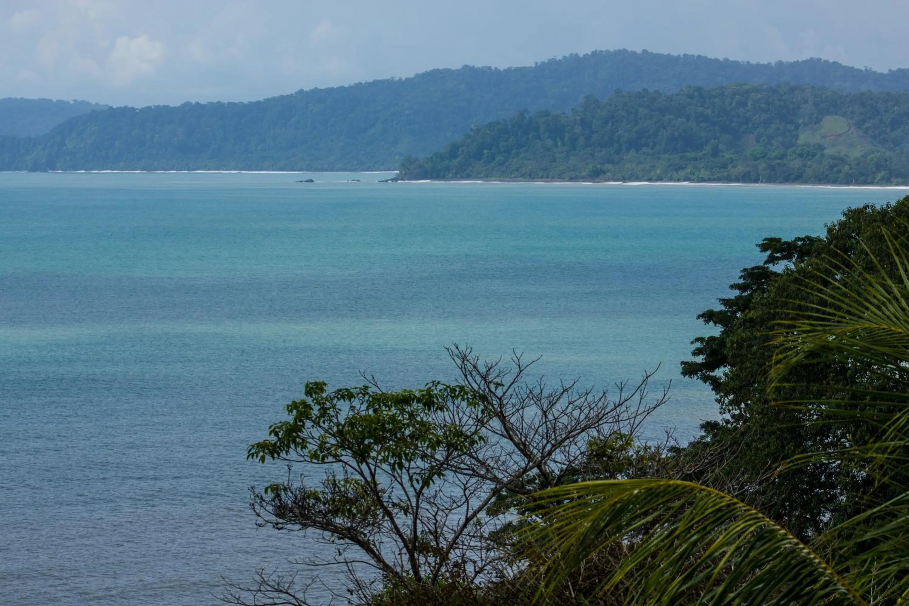 Beach in Hotel Rancho Corcovado