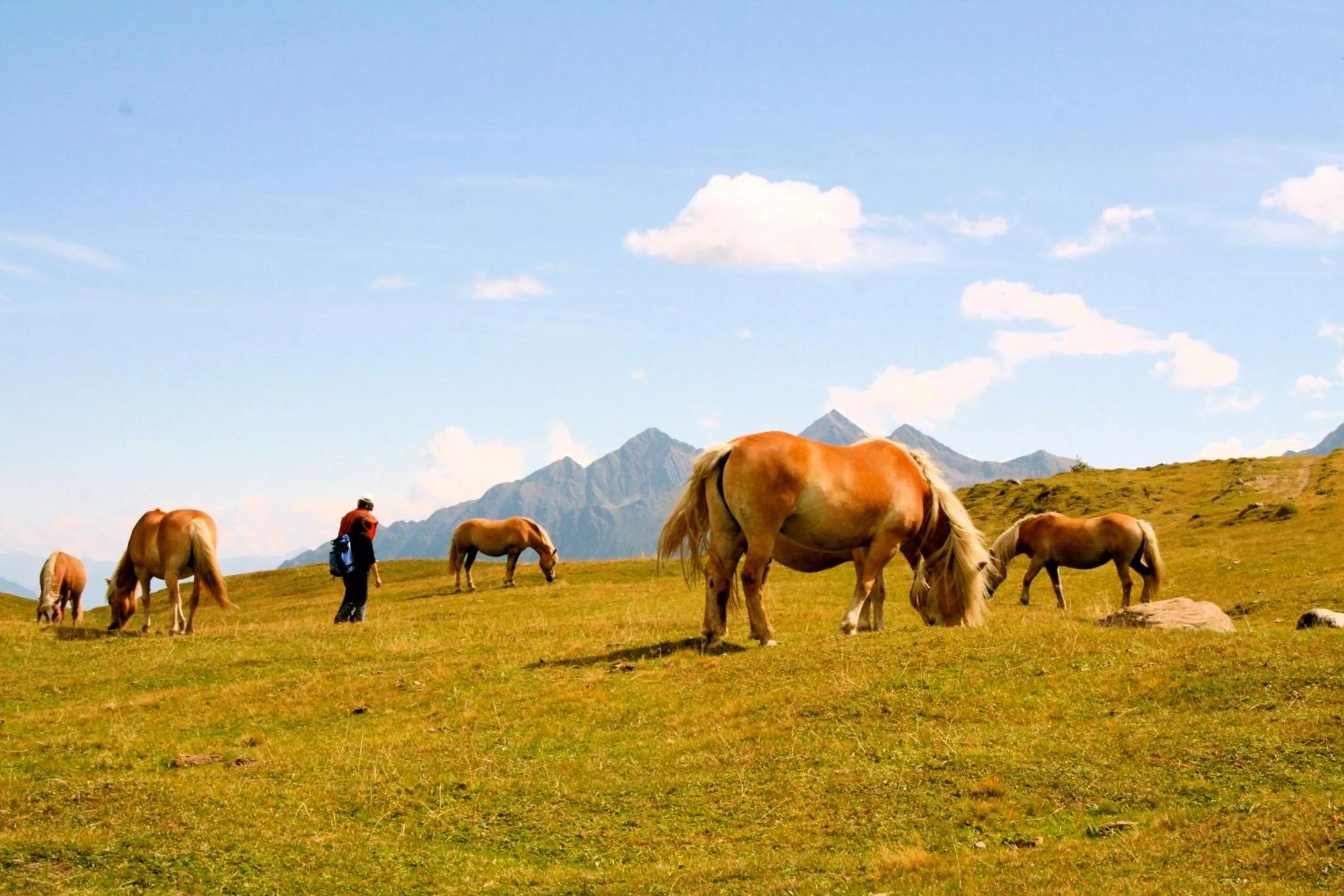 Off site in Hotel Lärchenhof Natur
