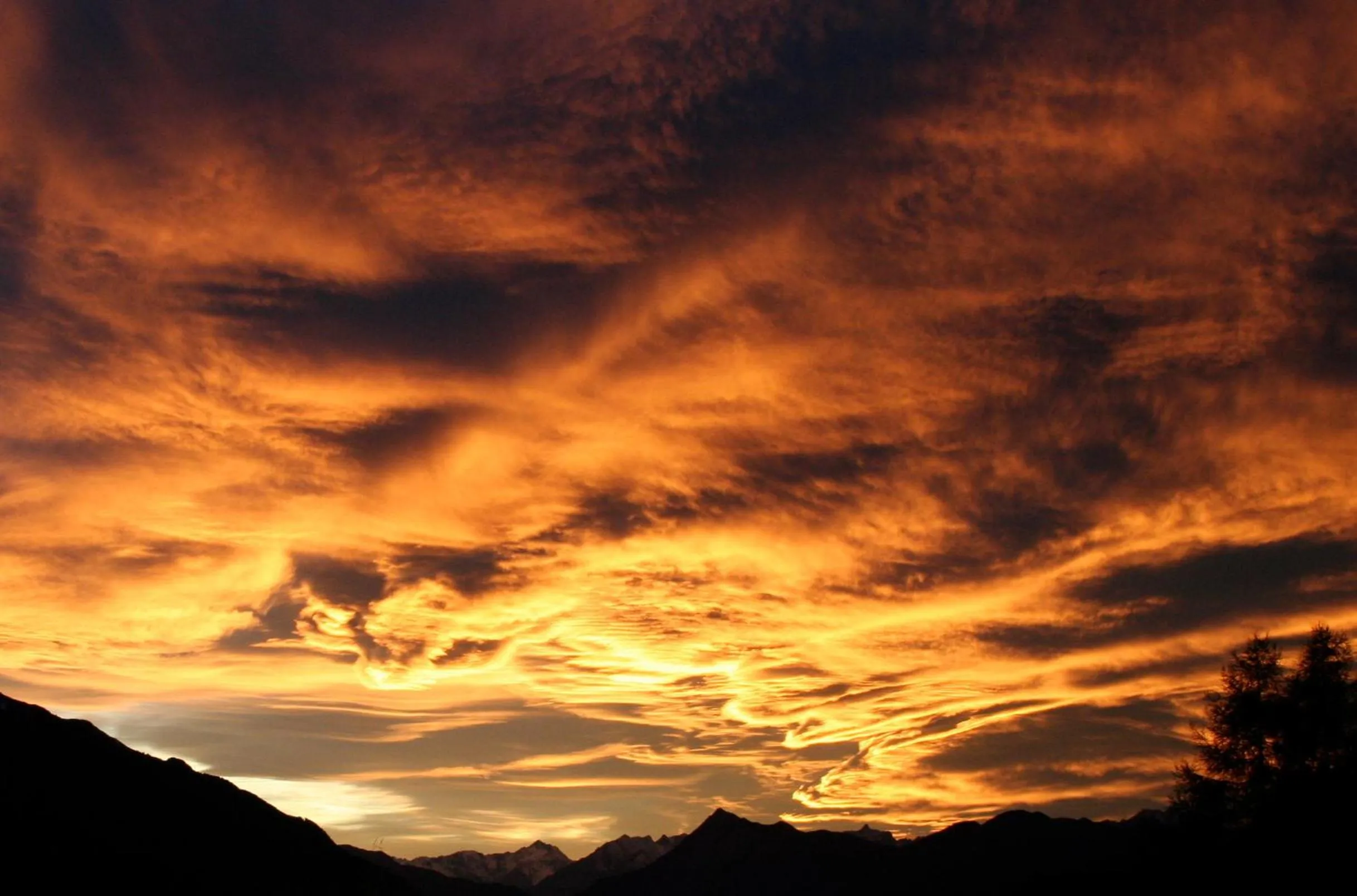View (from property/room) in Hotel Lärchenhof Natur
