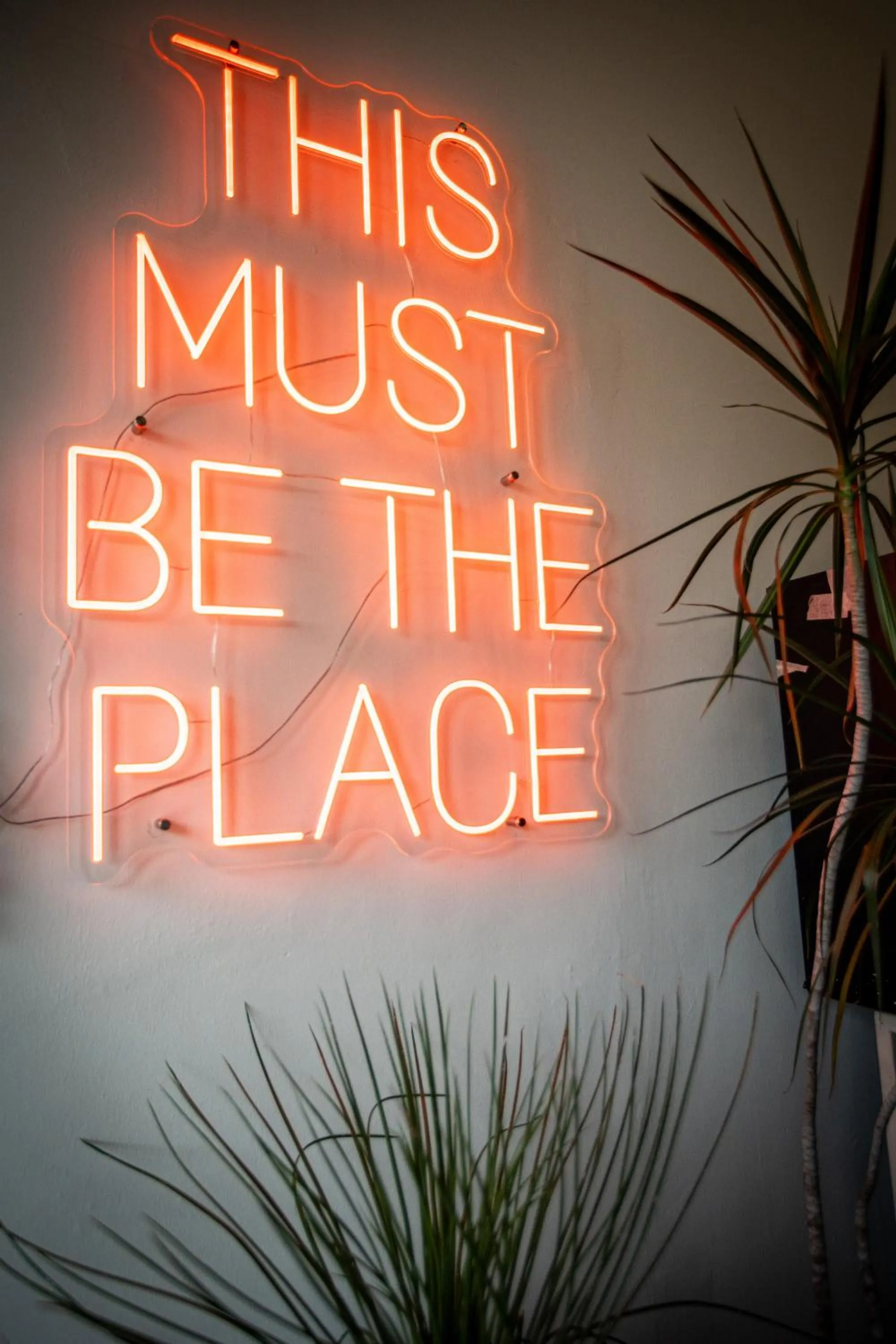 Seating area in The Brownstone Hostel & Space