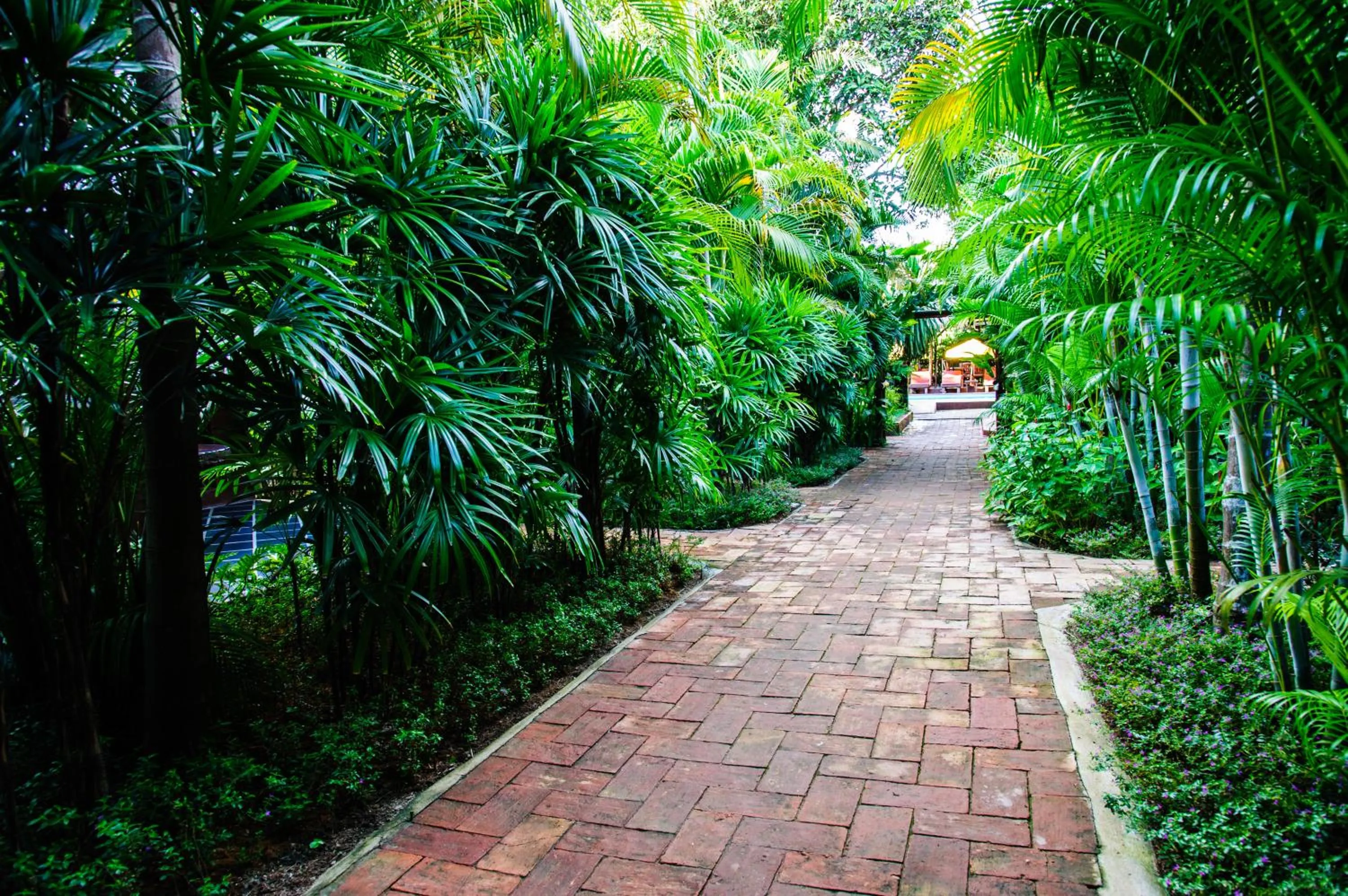 Garden in Baanpong Lodge